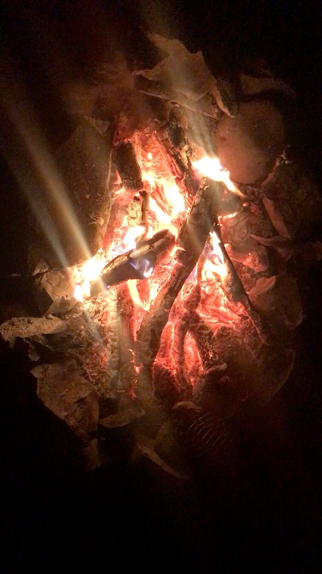 fire1.jpeg