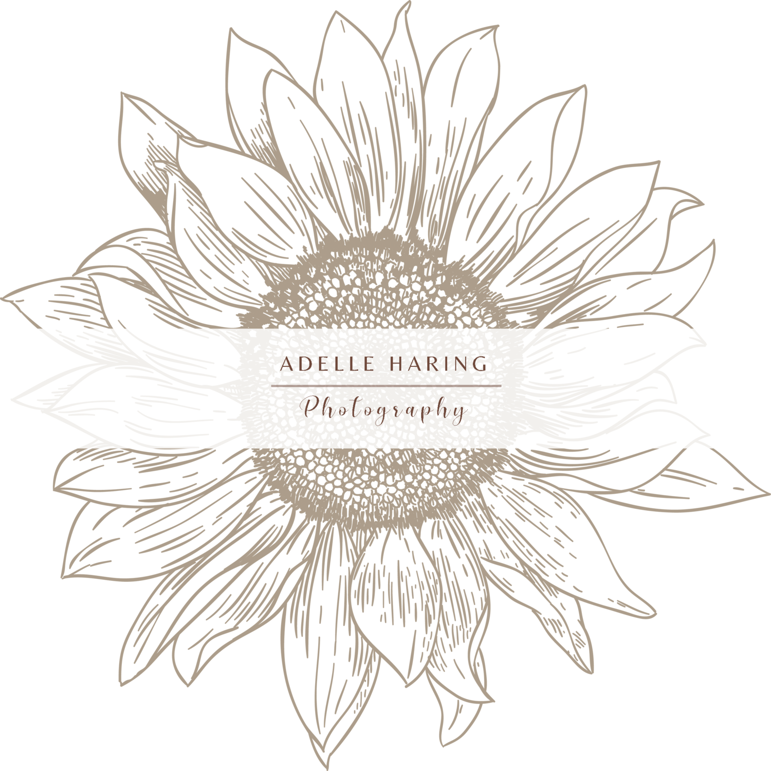 Adelle Haring Photograpghy
