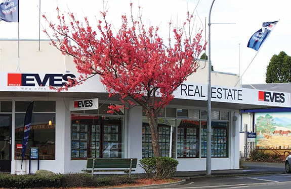 Katikati Katch web images5.jpg