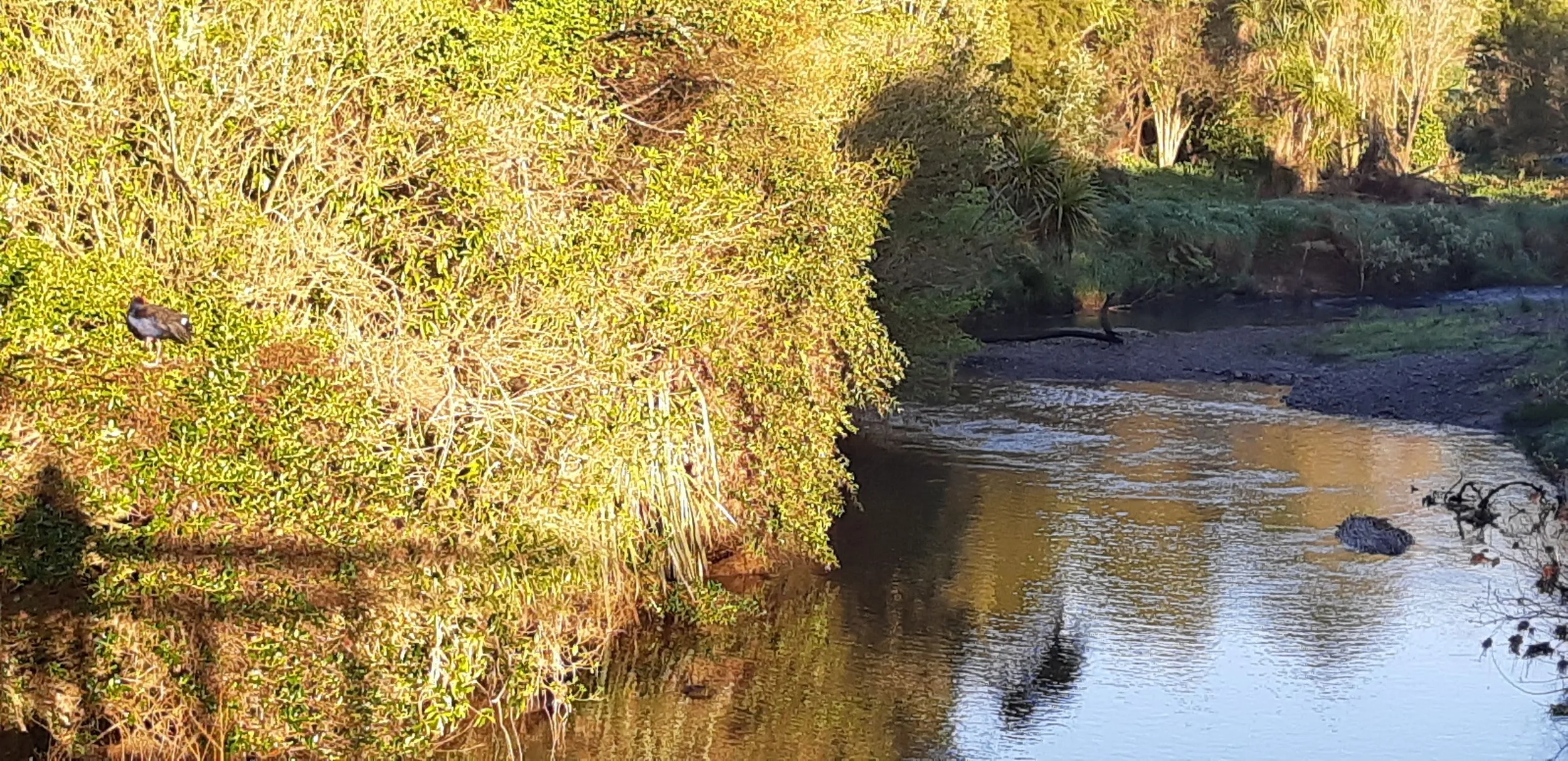 20210902_071653.jpg