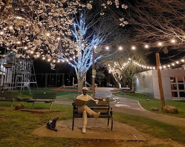 Barry and the lights.jpg