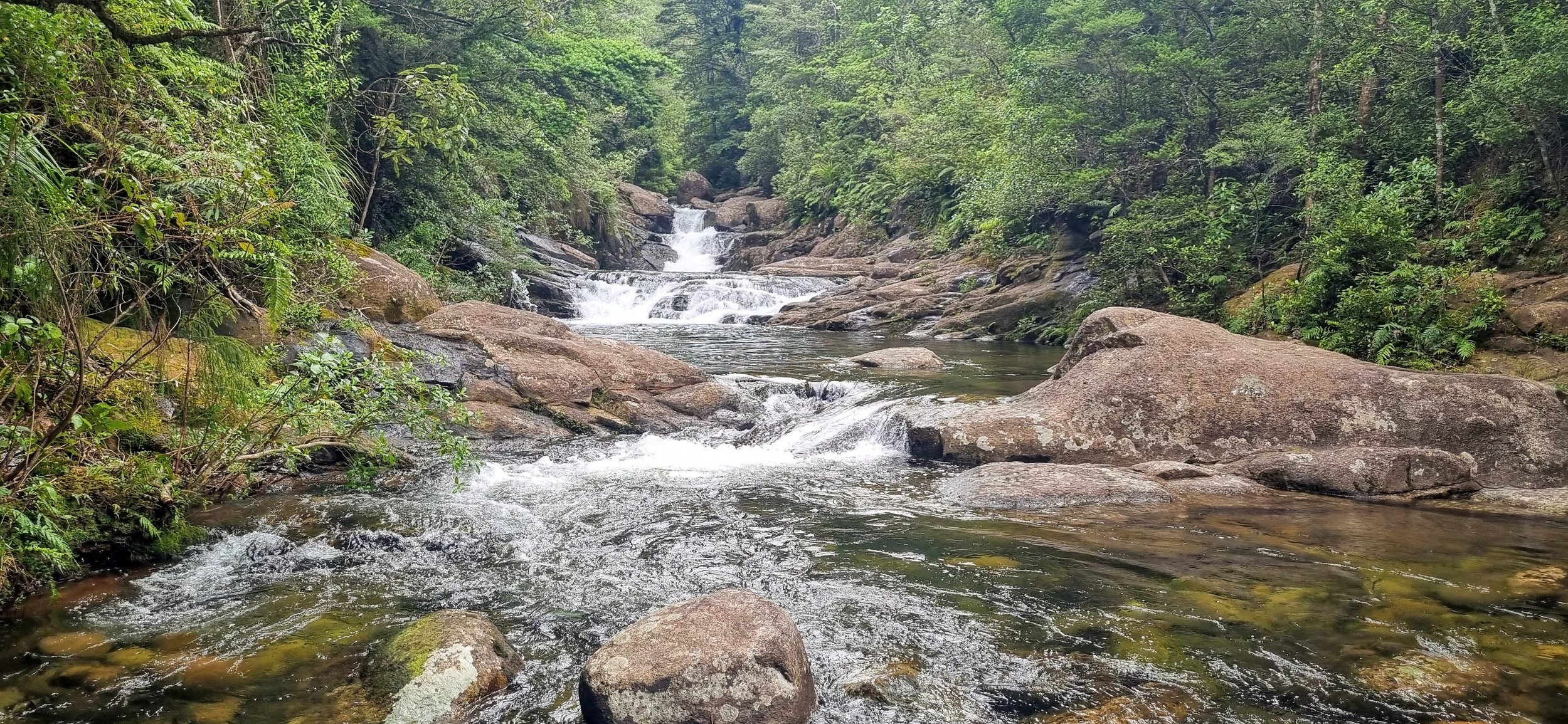 Aongatete Swimming Hole.jpg