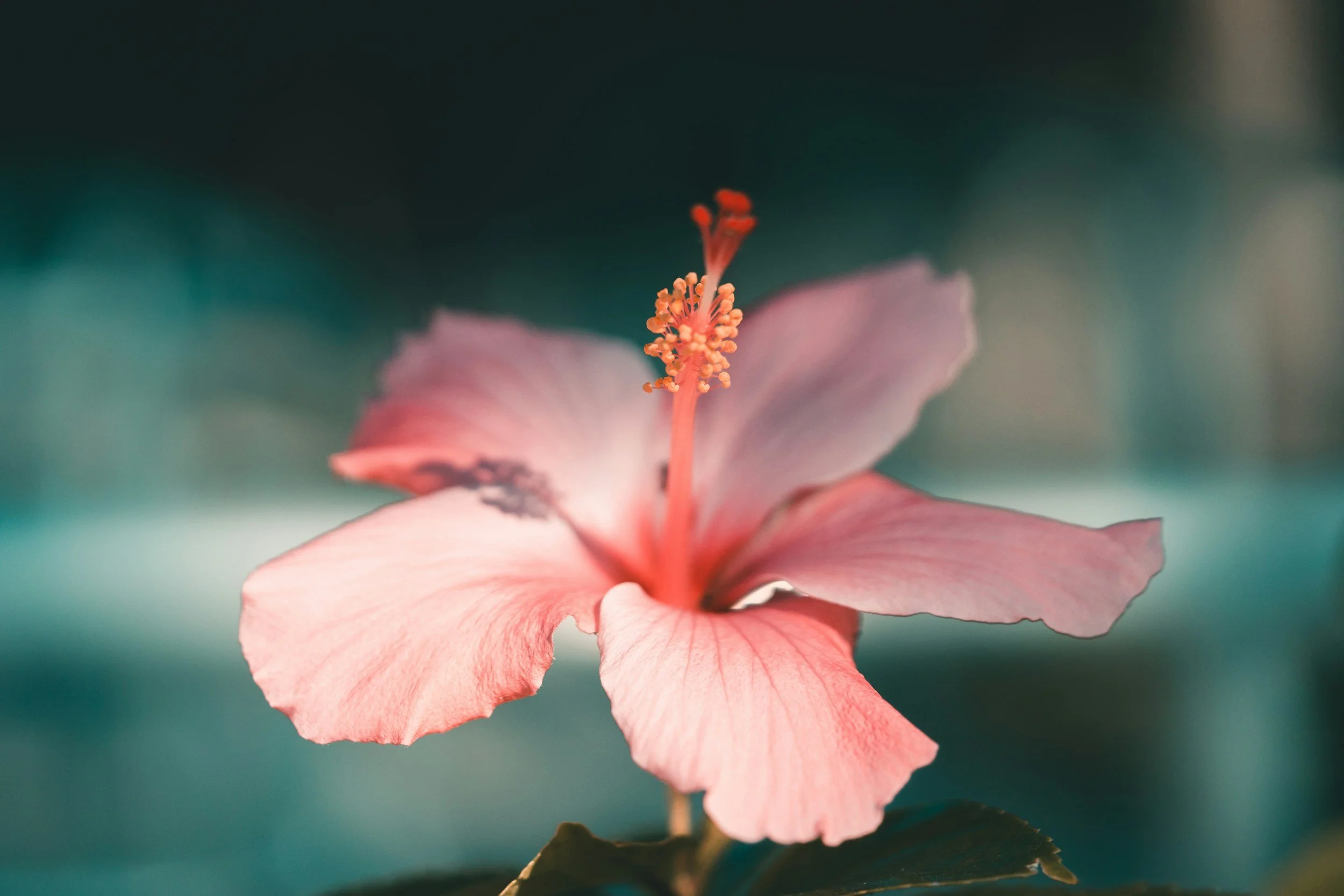 unsplash-image-aLoqgNAyxDs.jpg