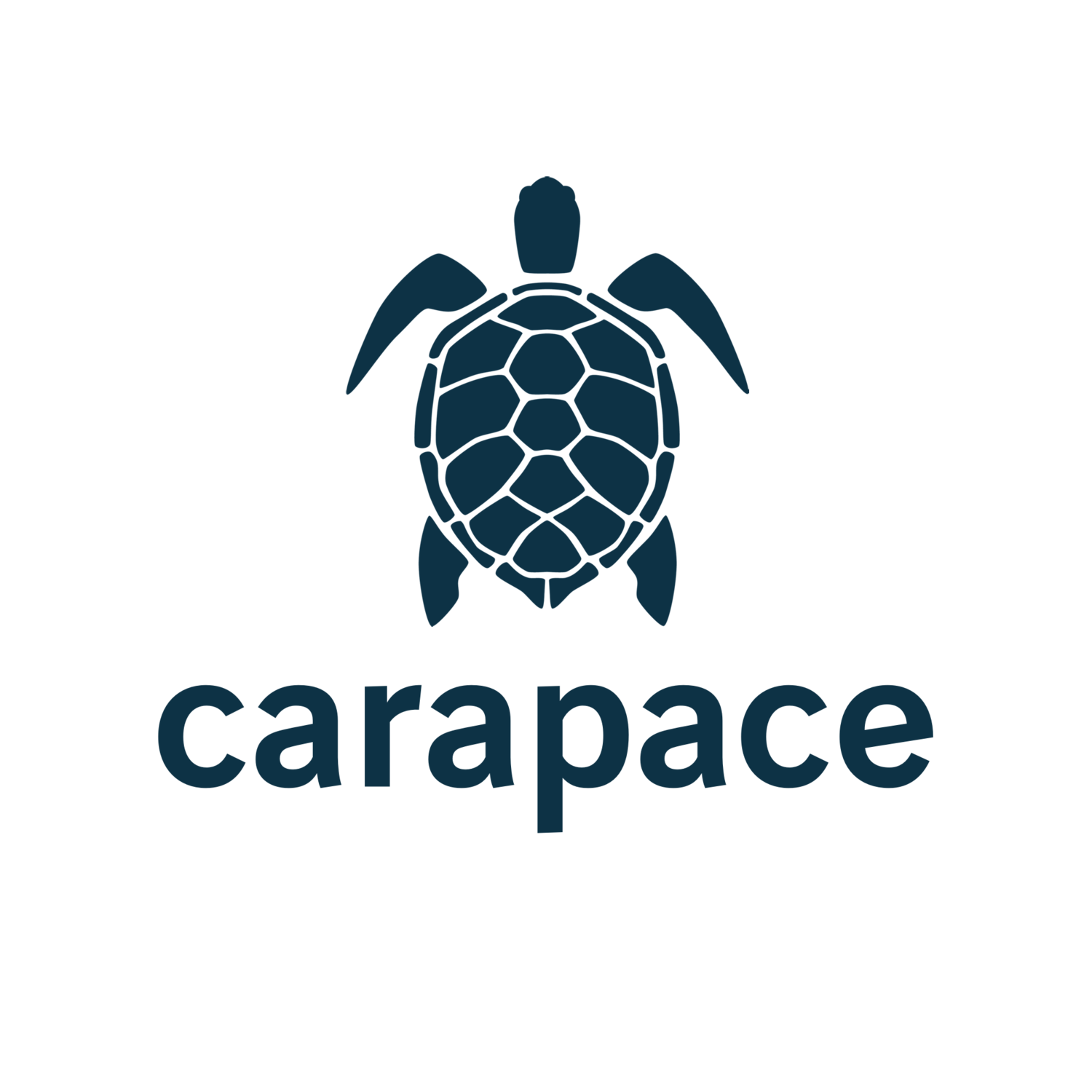 Carapace