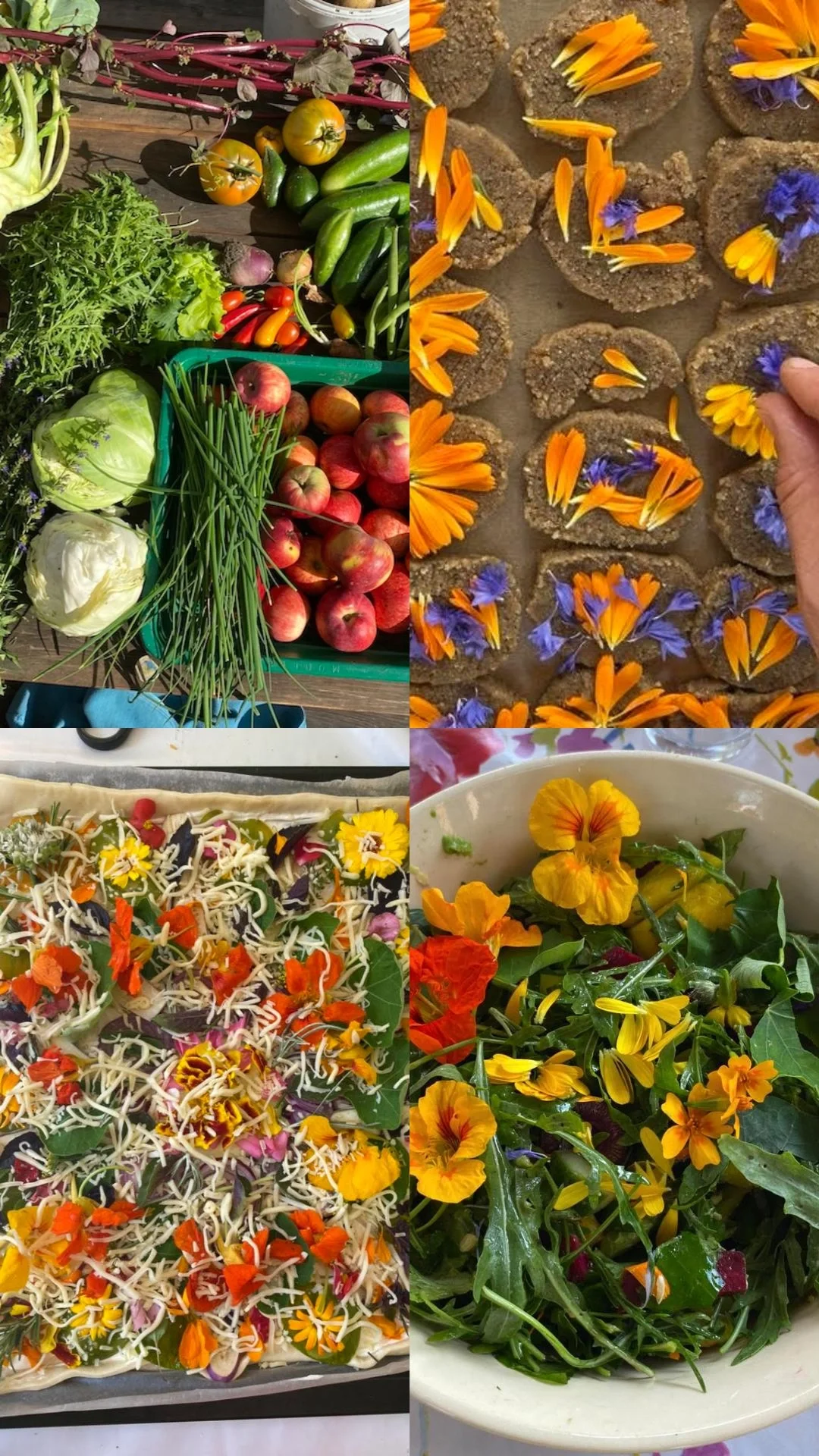 Familien-Workshops: Natur erleben und gesund kochen!