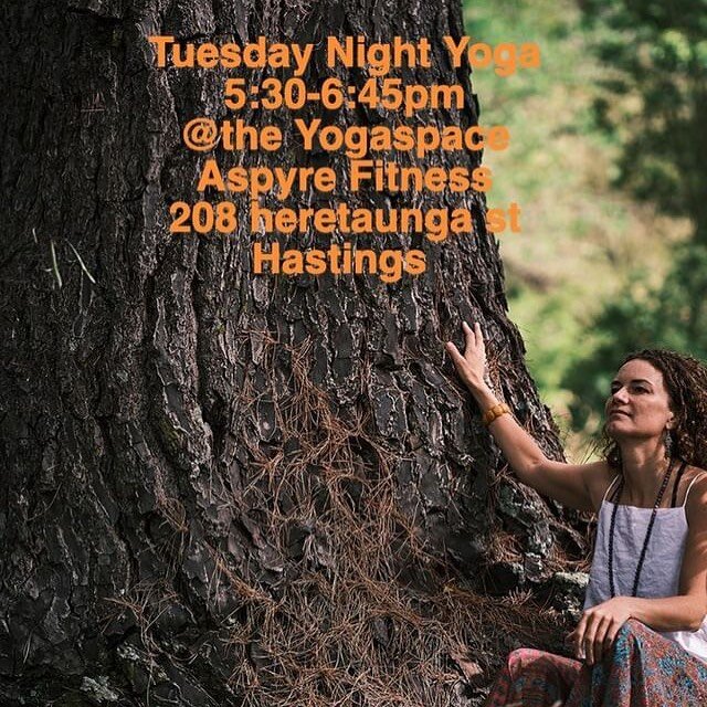 TUESDAY NIGHT YOGA 
5:30-6:45pm
The yogaspace, Aspyre fitness,
208 Heretaunga street
Hastings 
Hi, I&rsquo;m Vanessa and I teach yoga for real salt of the earth people.
Come and embrace your breath, learn simple yoga postures coordinated with breath.