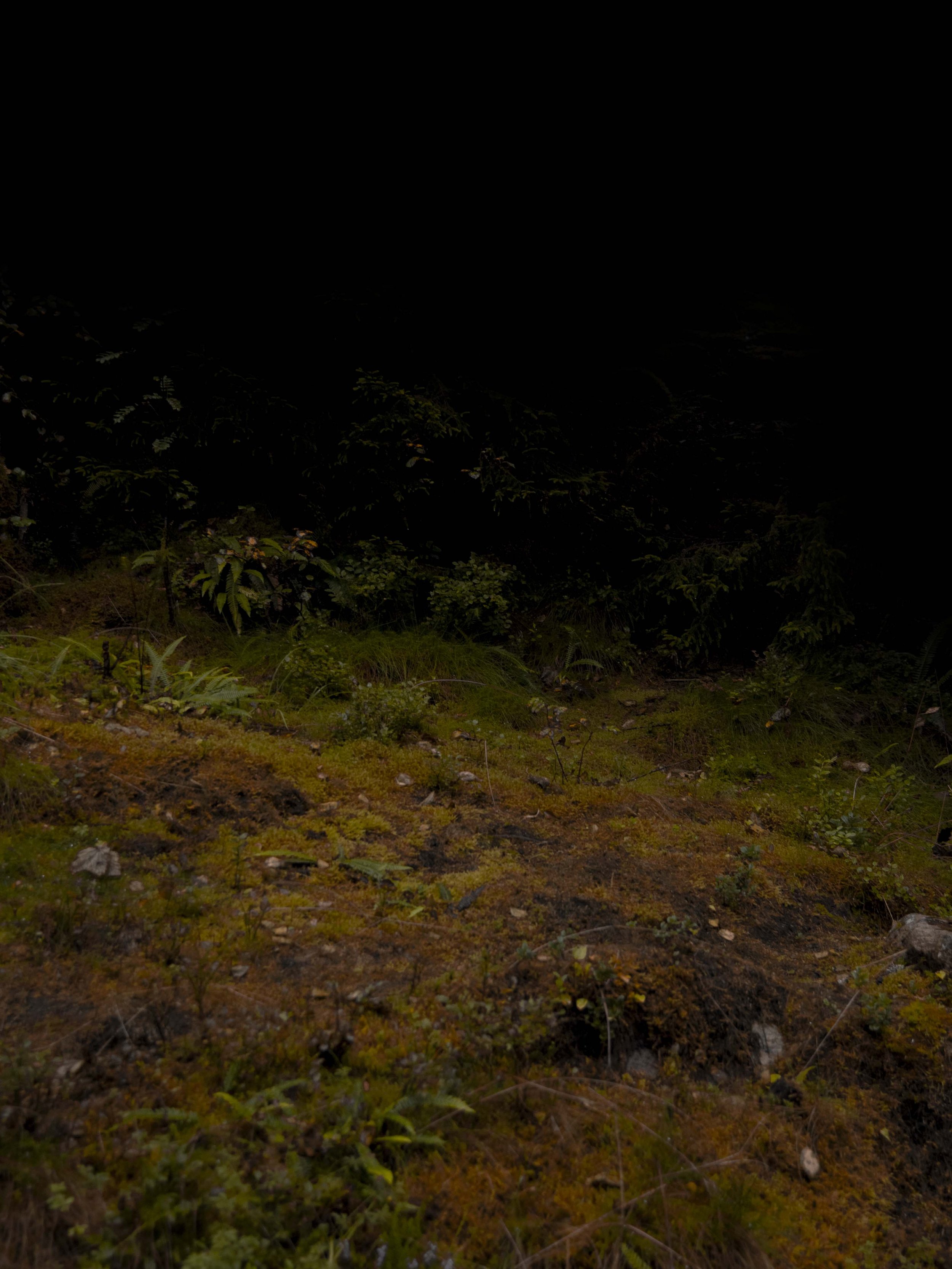 _DSC7881.jpg