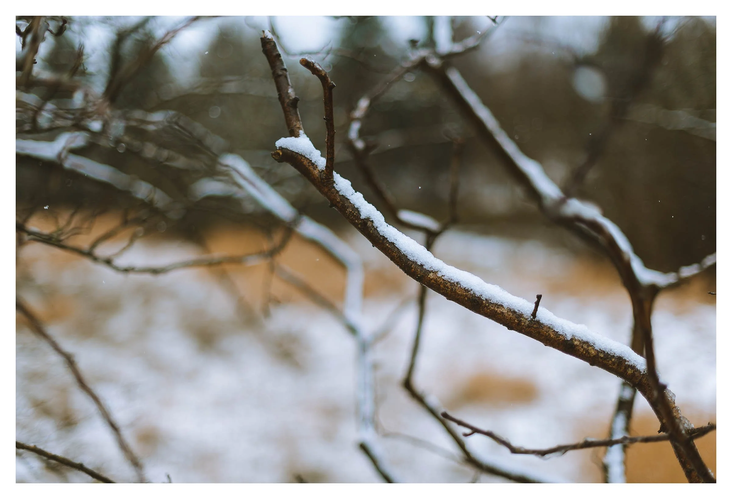 008_20220218_Snowday_Blog.jpg
