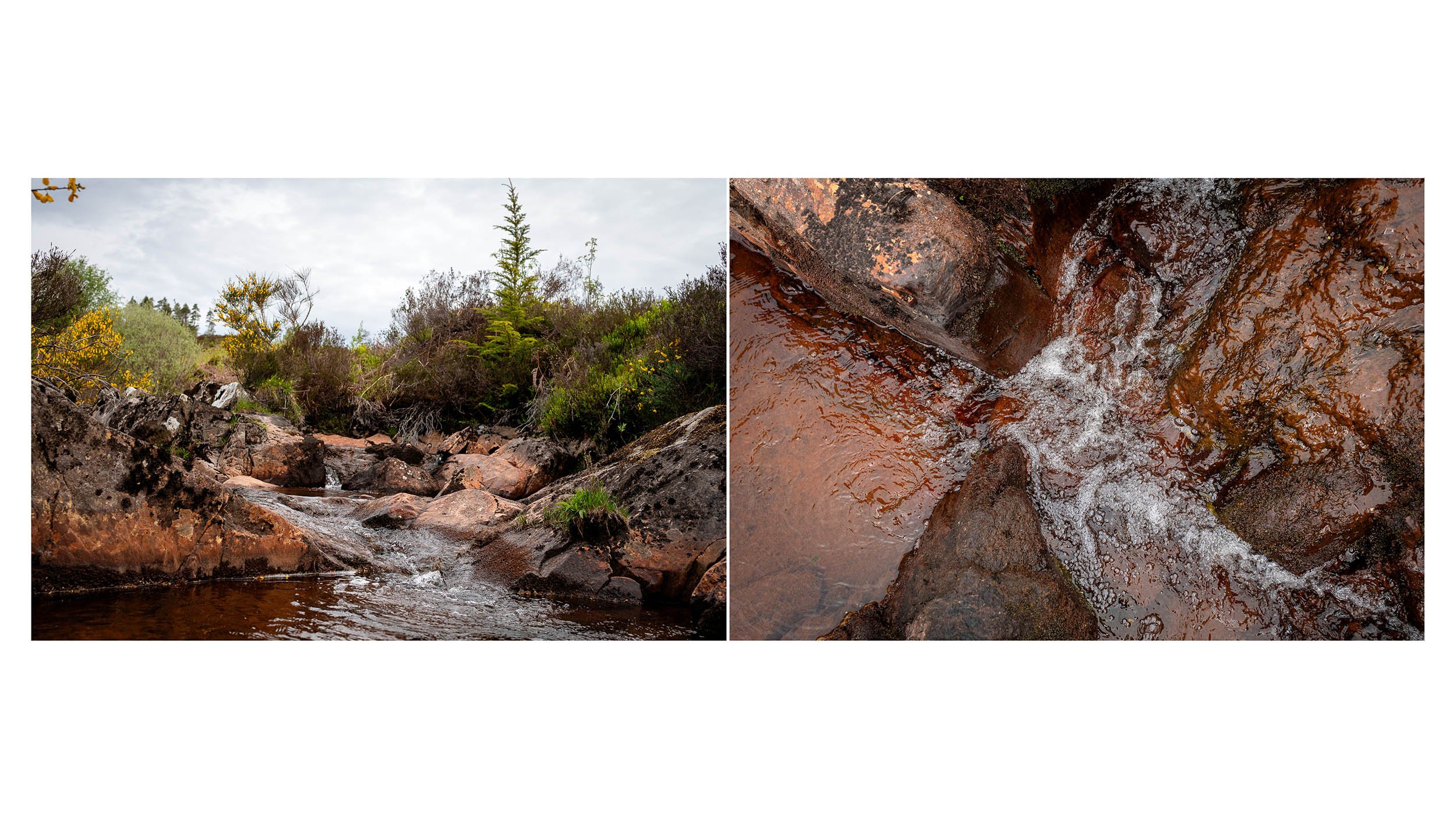 Dukes Path Blog 02.jpg