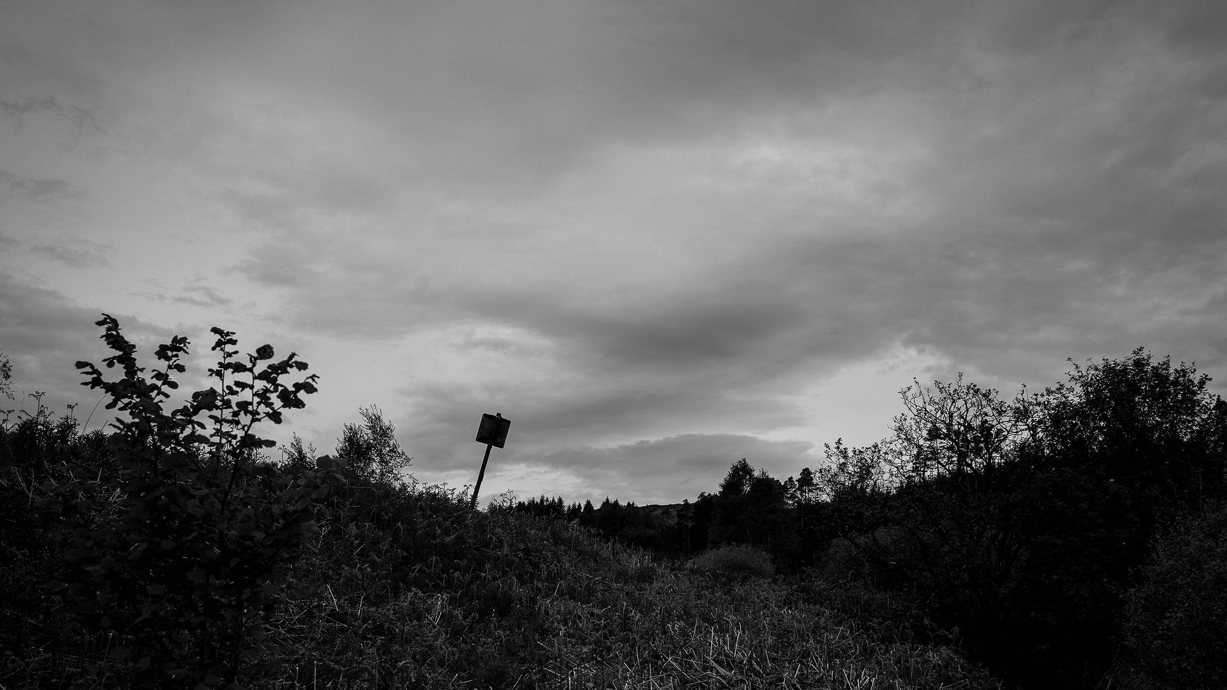 Dukes Path Blog 05.jpg
