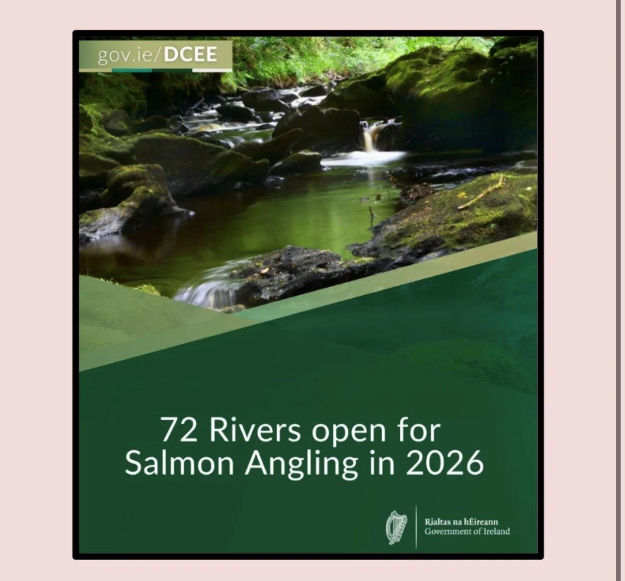 Salmon Watch Ireland April Newsletter 