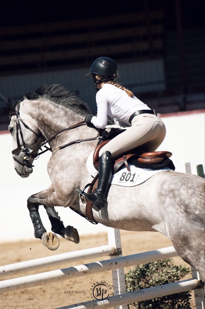 Ride in sync: how osteopathy &amp; cranial sacral therapy elevate horse riding performance