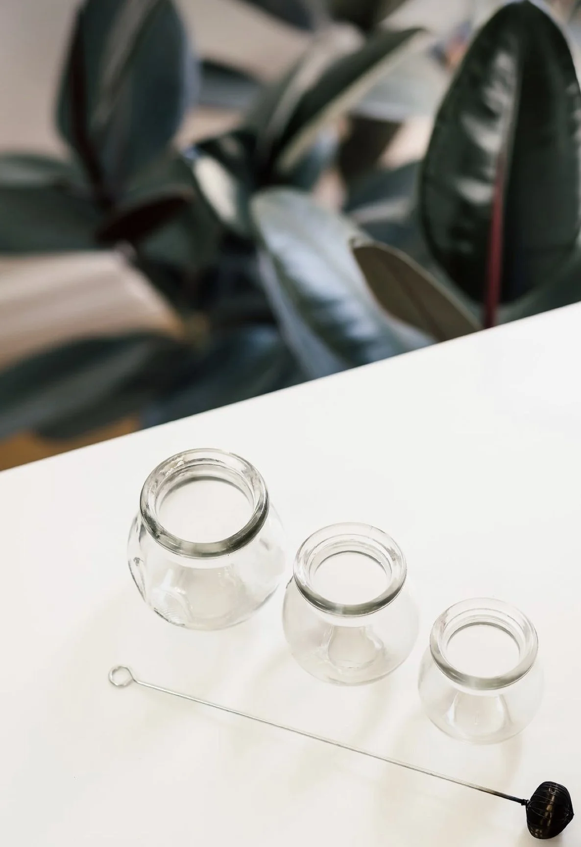 Three empty glass jars and one metal rod with a black weight on a white surface, with a blurred green leafy plant in the background.