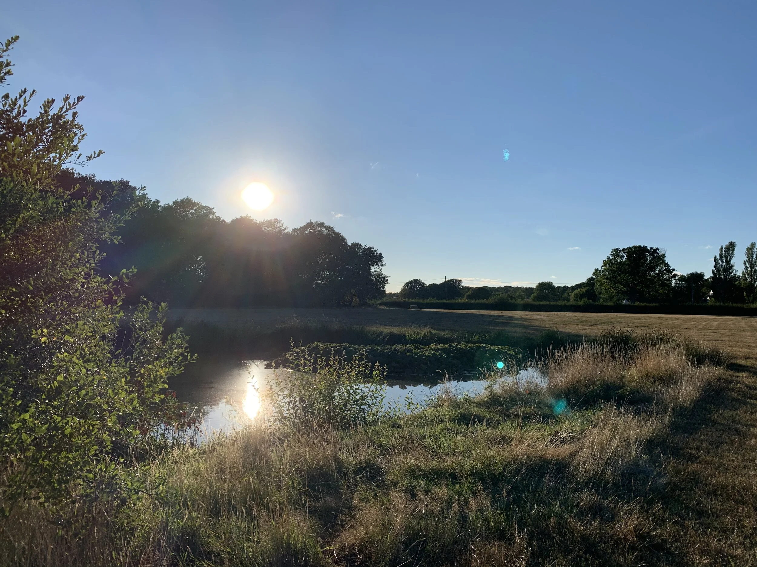 A bright sun shining over a landscape with trees, a small pond, and grassy areas under a clear blue sky.