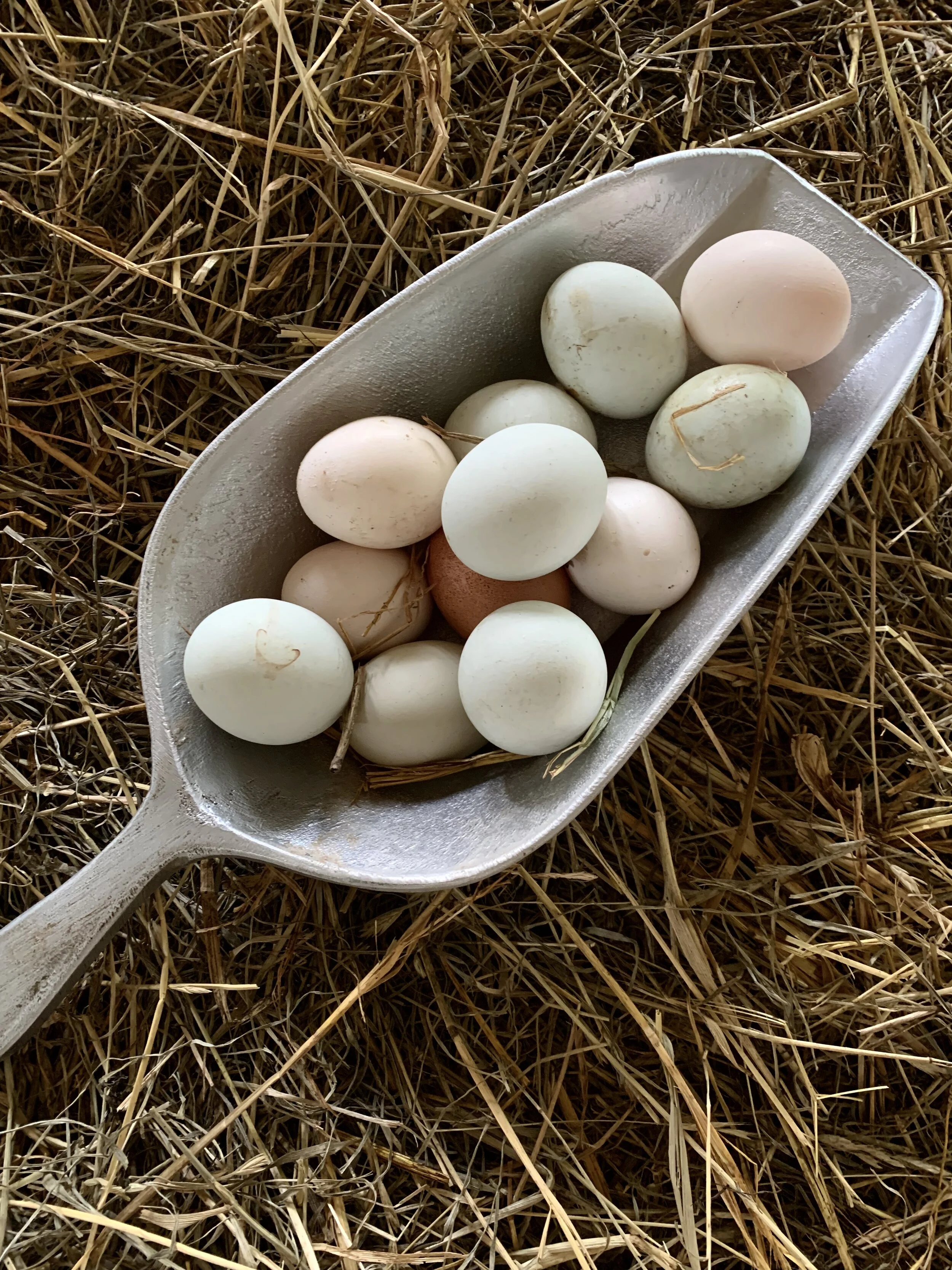 Spot House Farm eggs