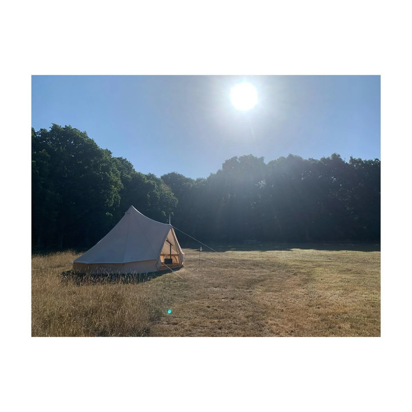Camp mornings&hellip;.
#spothousefarm