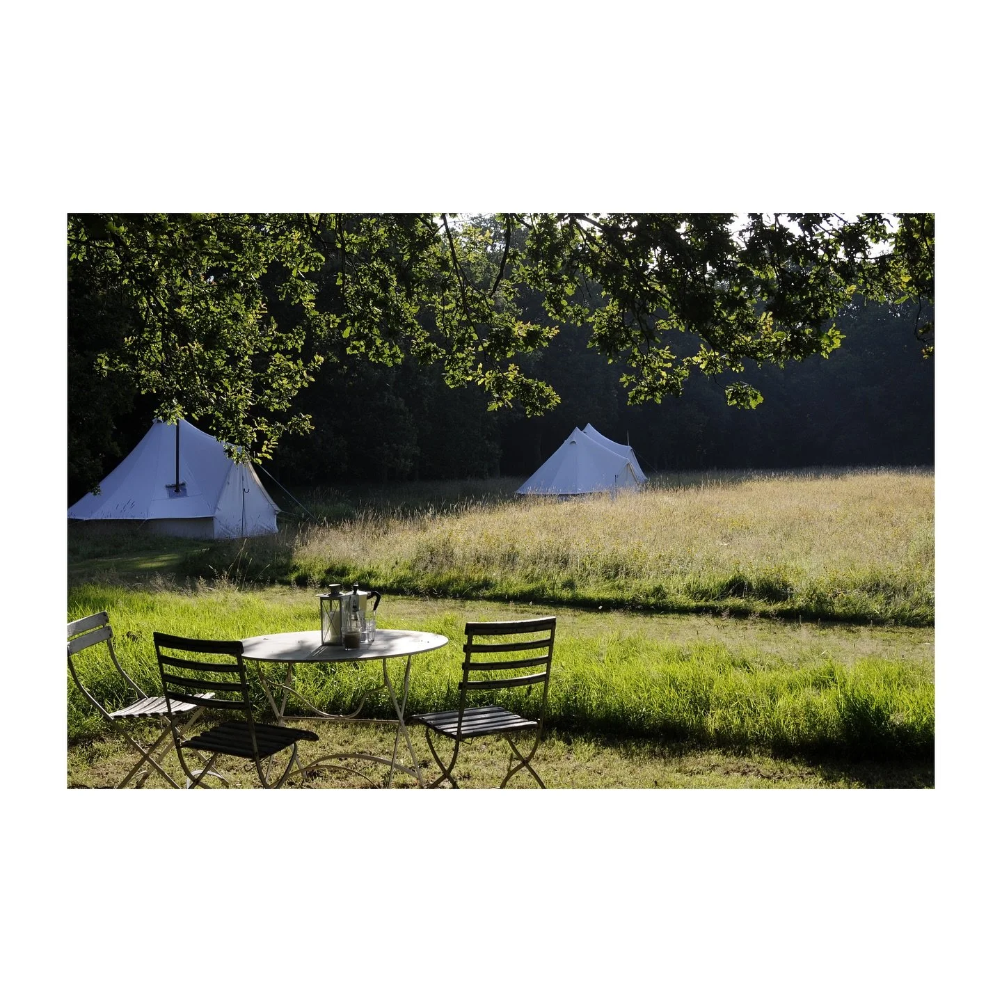We are readying ourselves to open the Spot House Farm campsite for summer 2025&hellip;
Sleeping group bookings of up to ten guests over four canvas bell tents in beautiful and secluded woodland meadows. Opening in time for the Summer Solstice.
www.sp