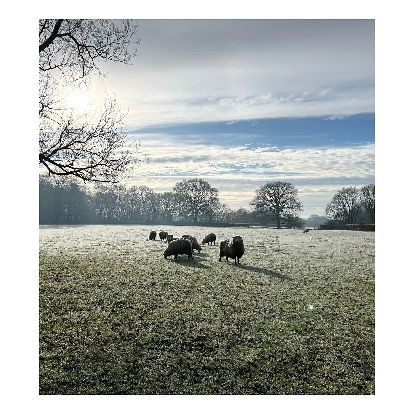 Outside and in&hellip;
#spothousefarm
