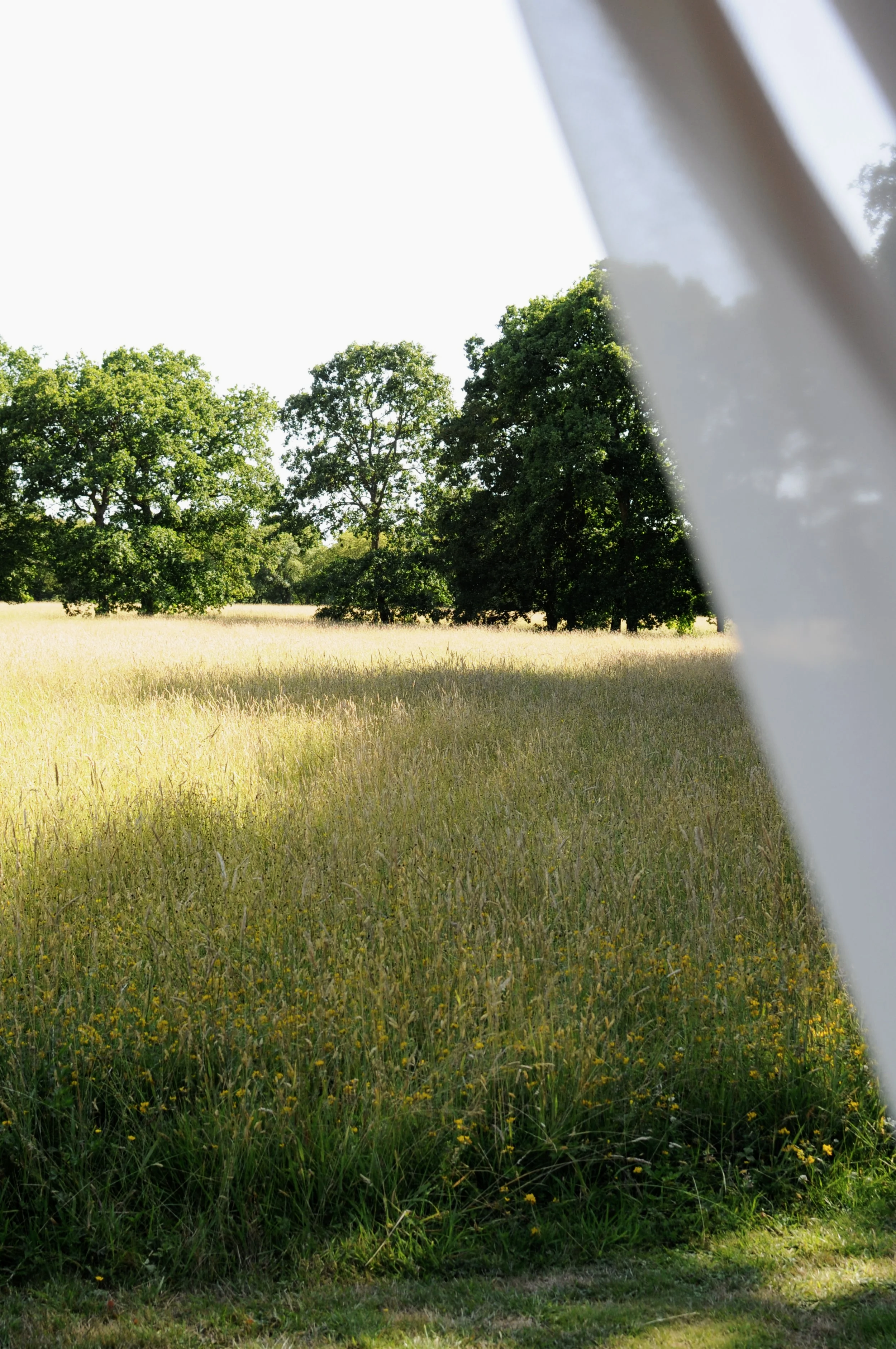 Wake up to the meadows at Spot House Farm
