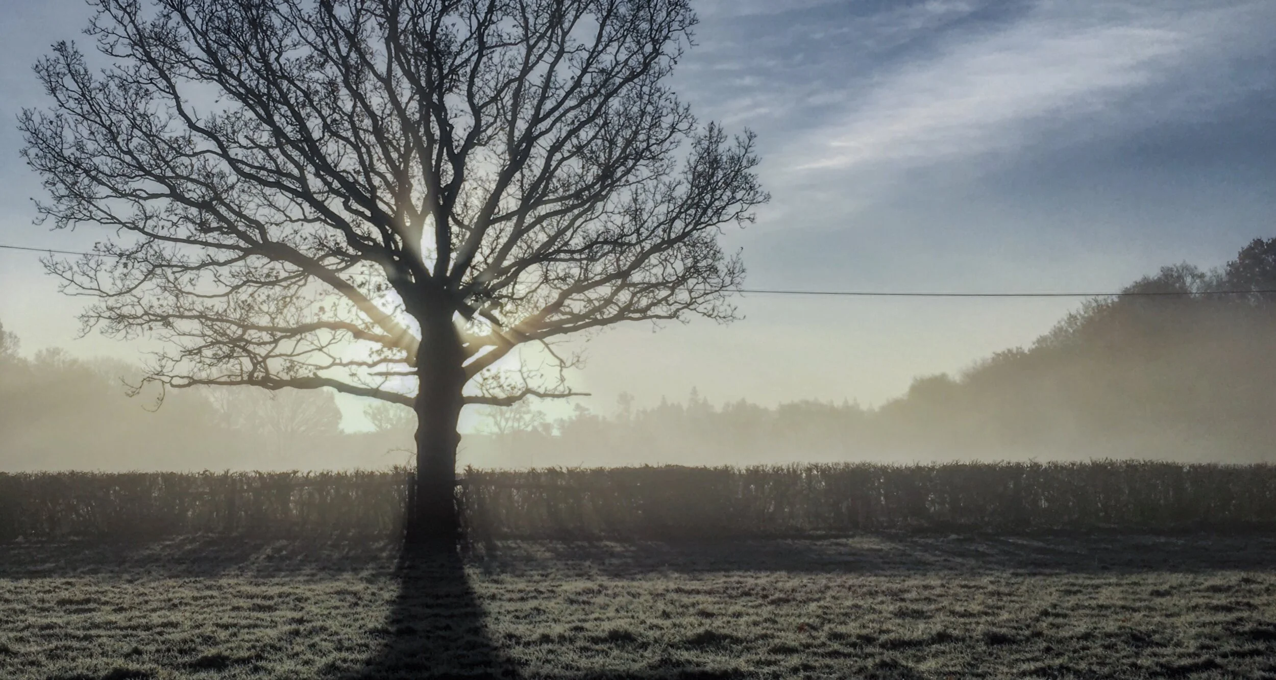 Winter scene at Spot House Farm