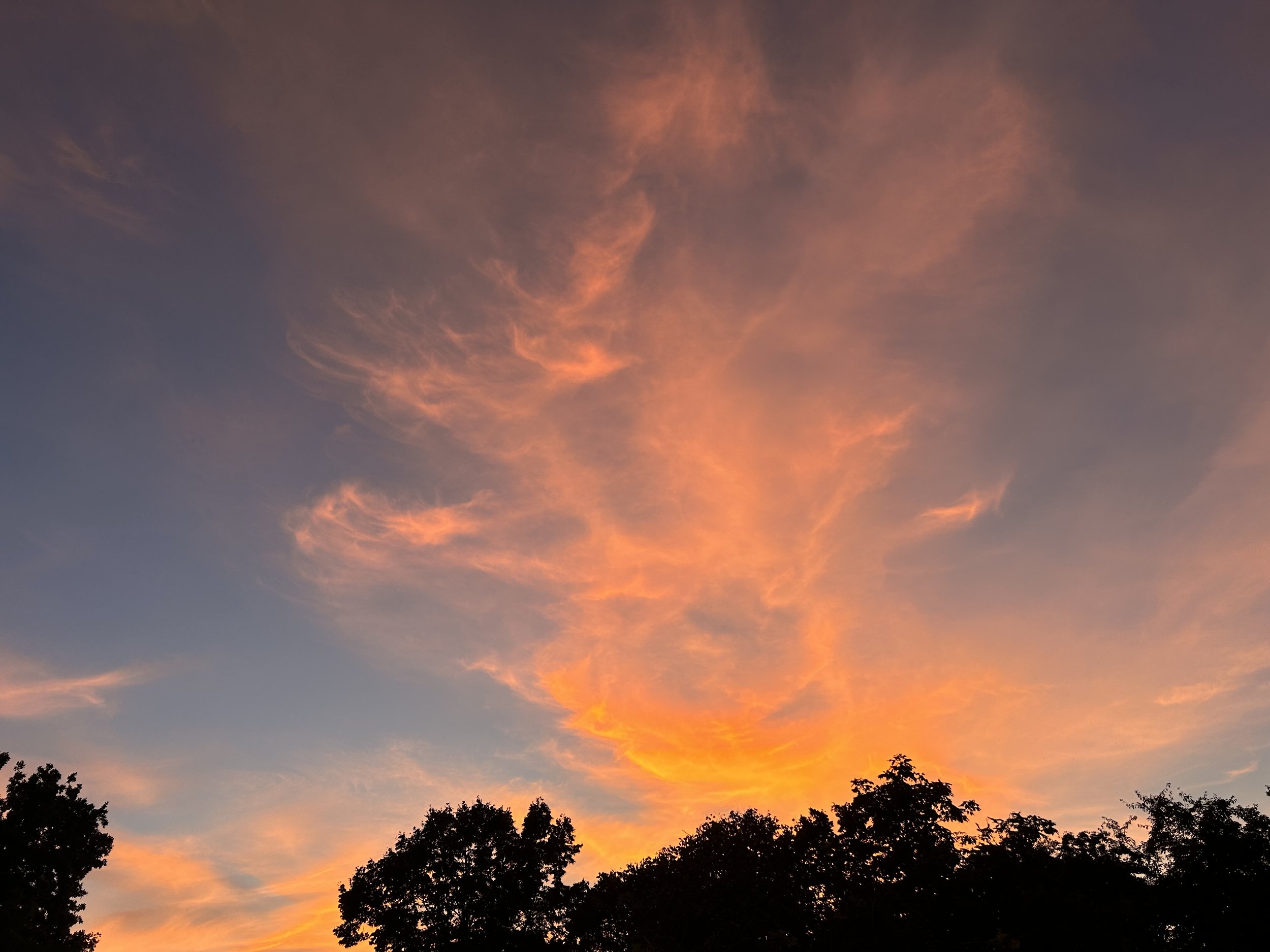 Winter sunset at the farm