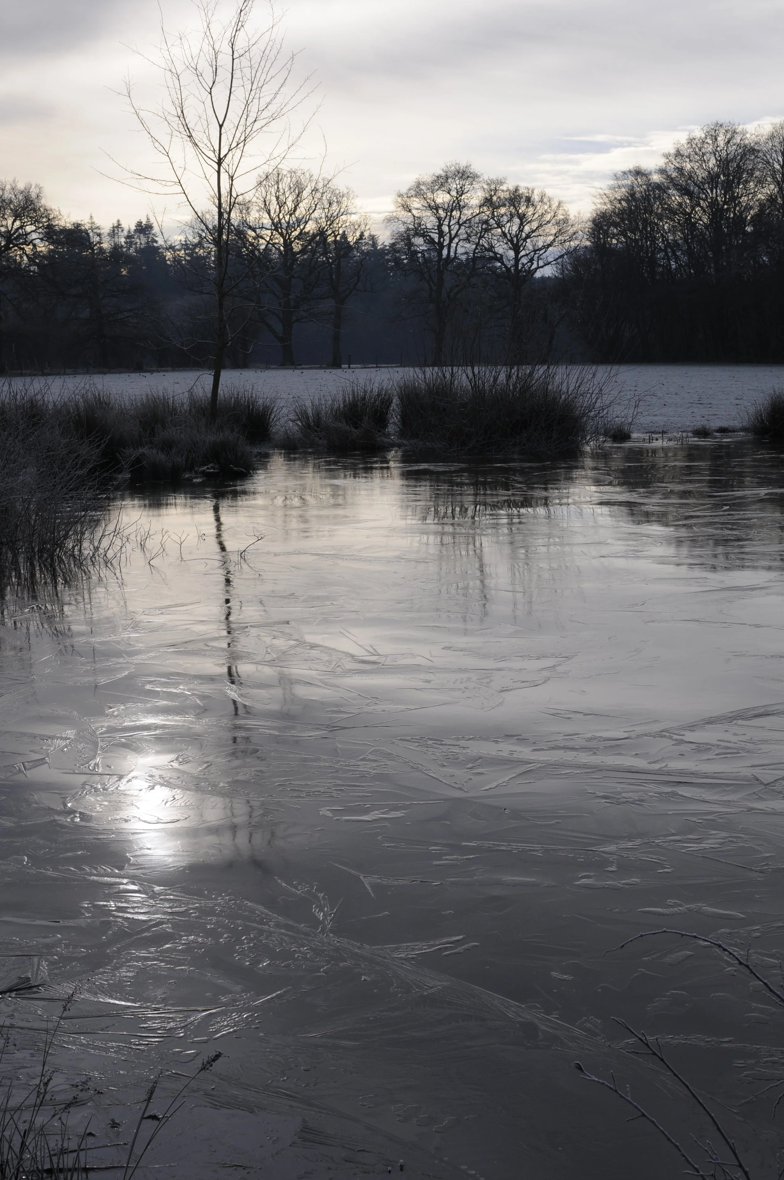 A winter landscape featuring a frozen river with ice patterns, leafless trees in the background, and a cloudy sky overhead.