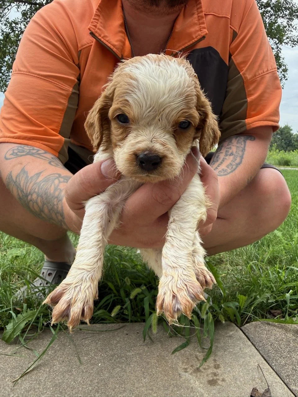 Blaze & Royce male 3