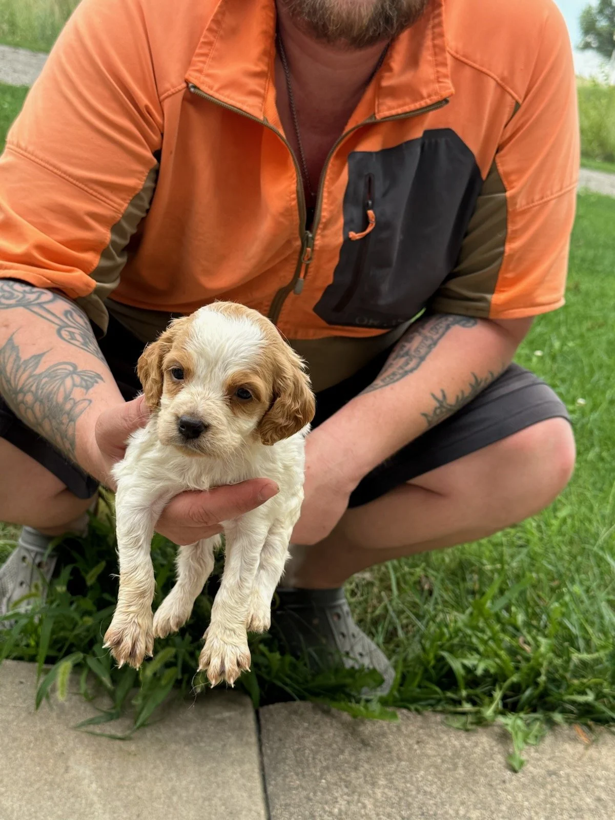 Blaze & Royce Female 3