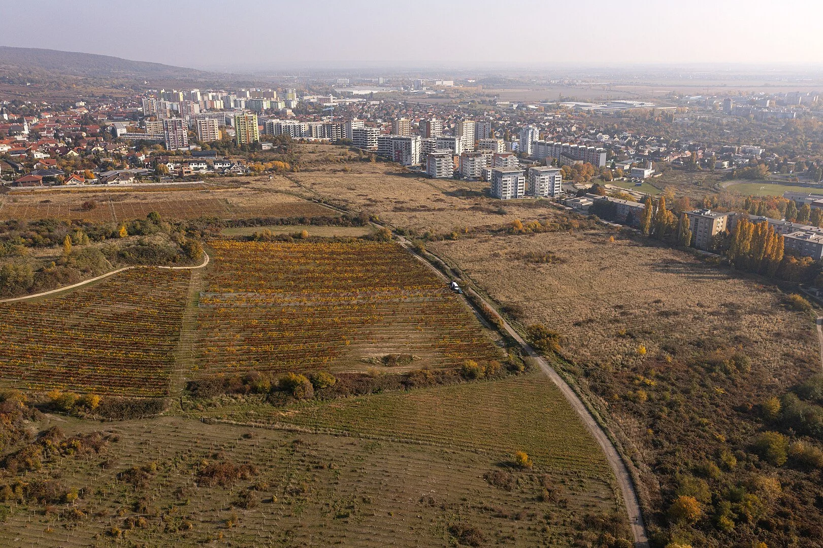 Fotka rača krasnany.jpg