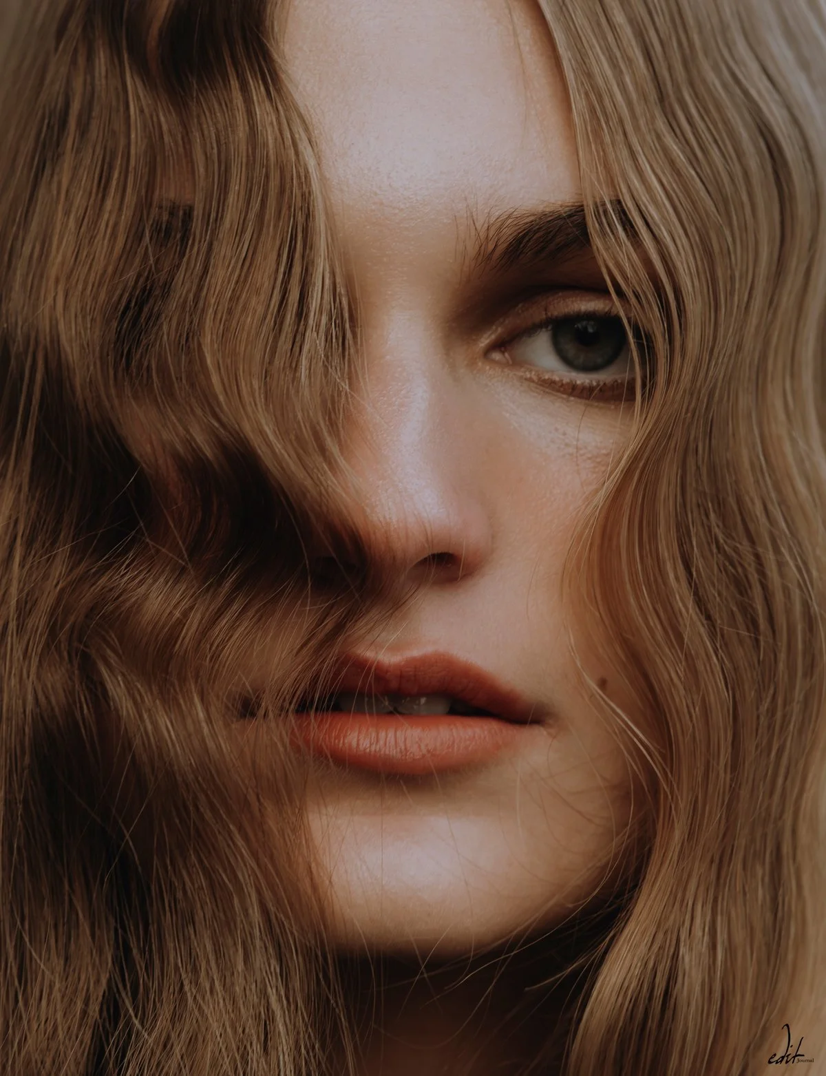 Muse 4.jpg