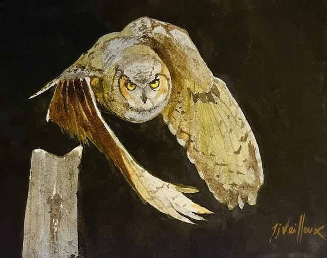 Night Owl