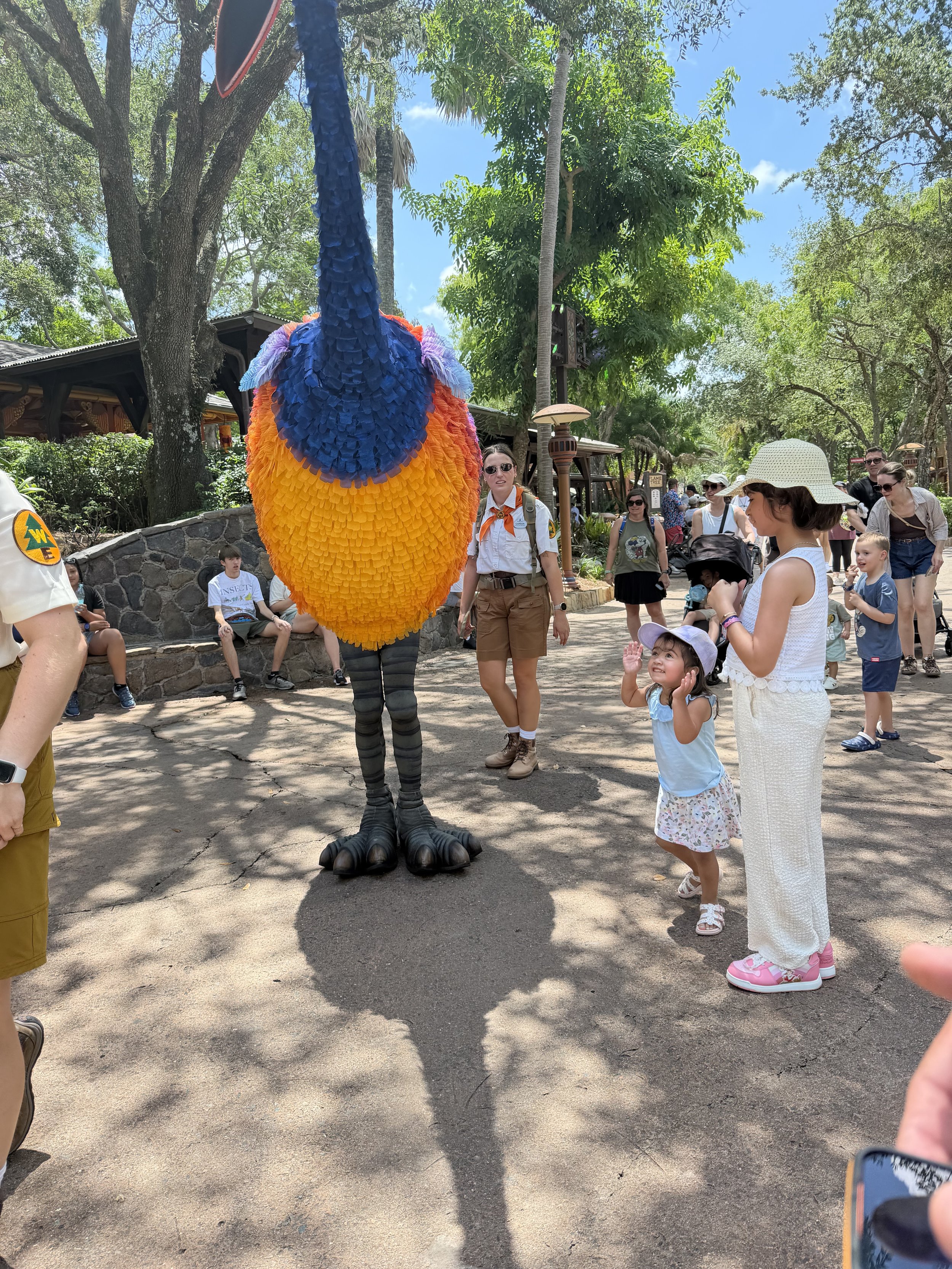 IMG_9182.jpeg
