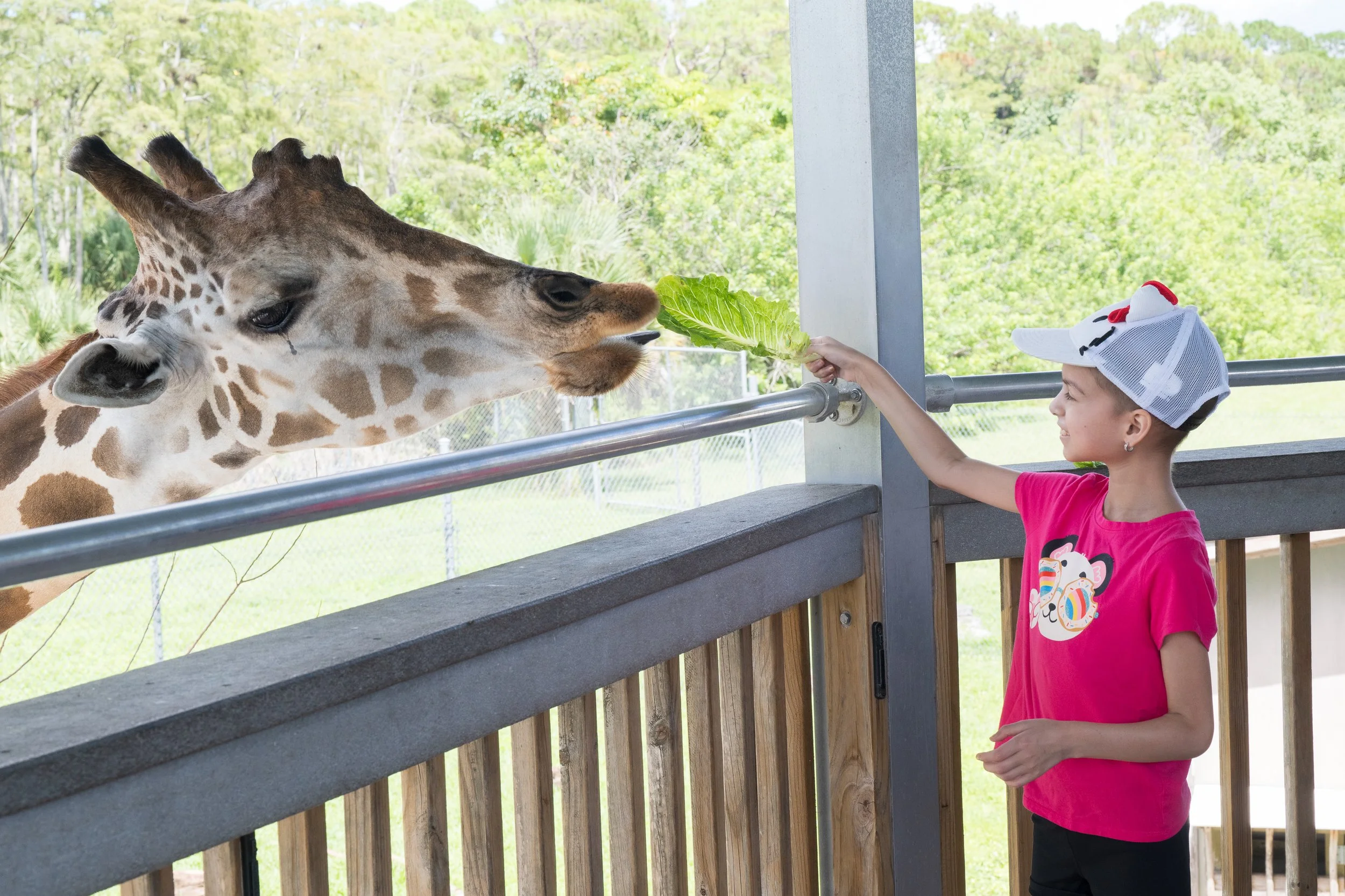 Gold Ribbon Party at Lion Country Safari