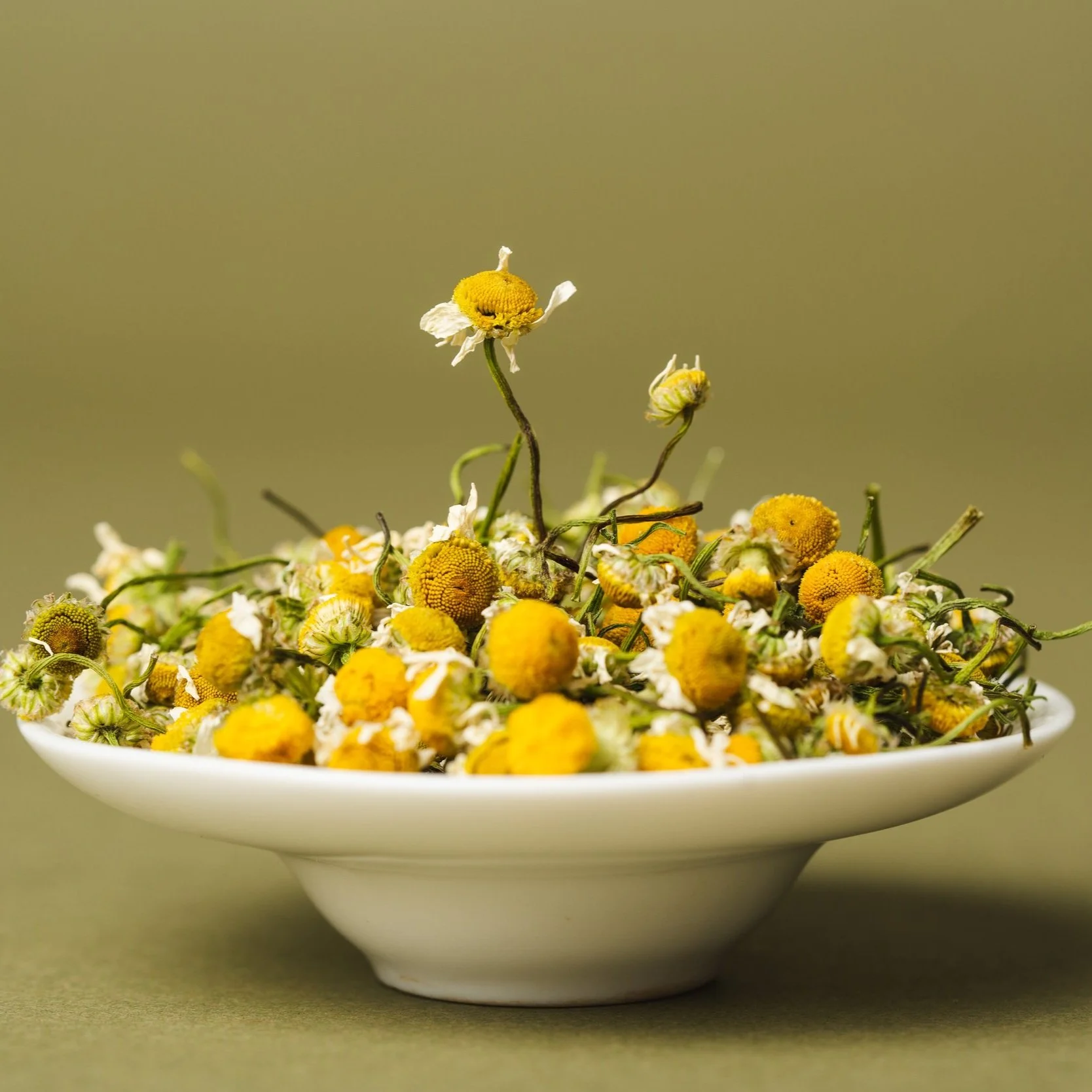 Herbal — Single-Origin Loose Leaf Teas | Volition Tea
