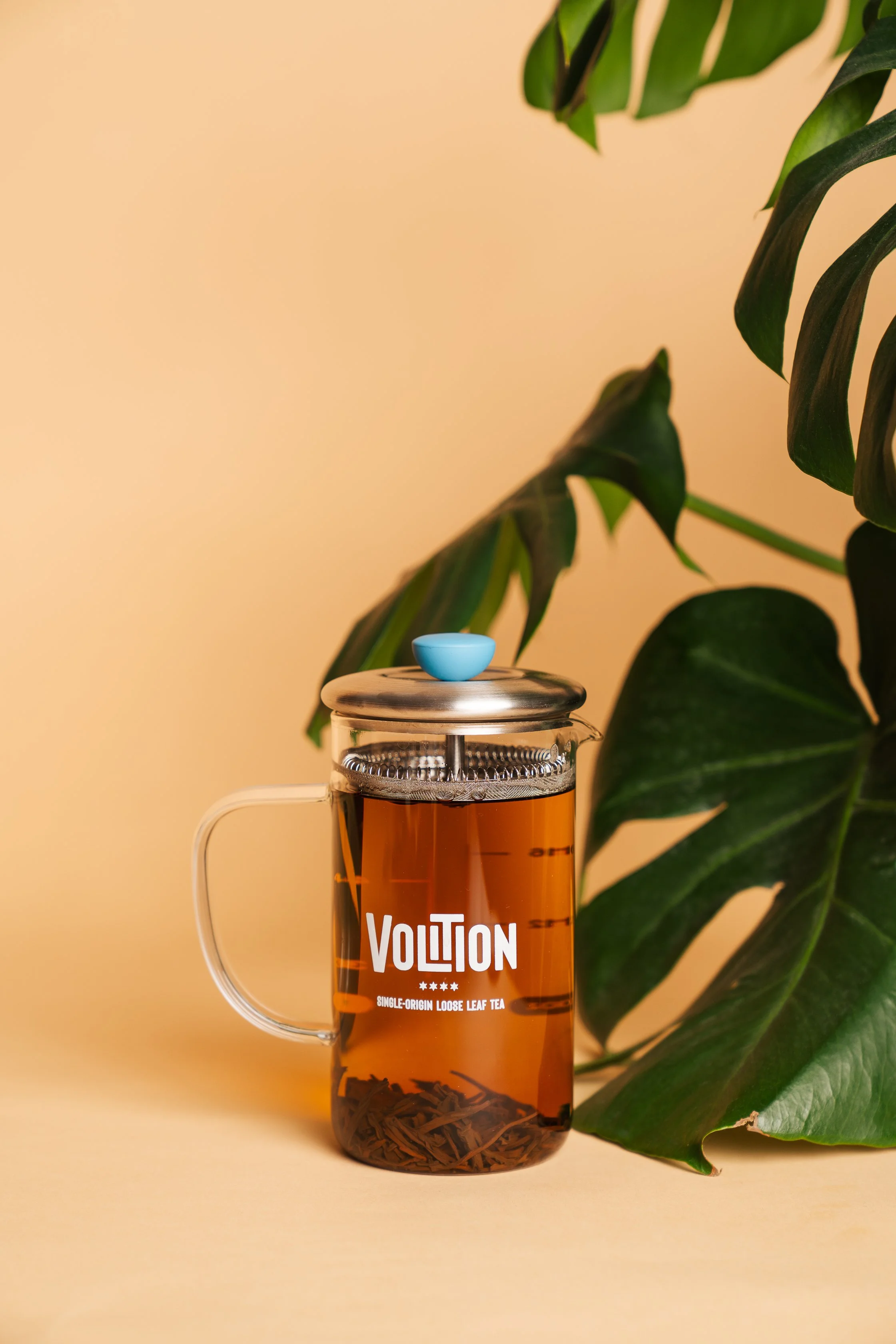 Teaware for Single-Origin Loose Leaf Tea | Volition Tea