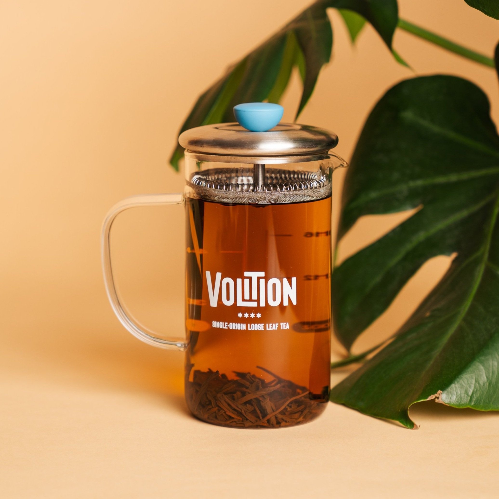 Teaware for Single-Origin Loose Leaf Tea | Volition Tea