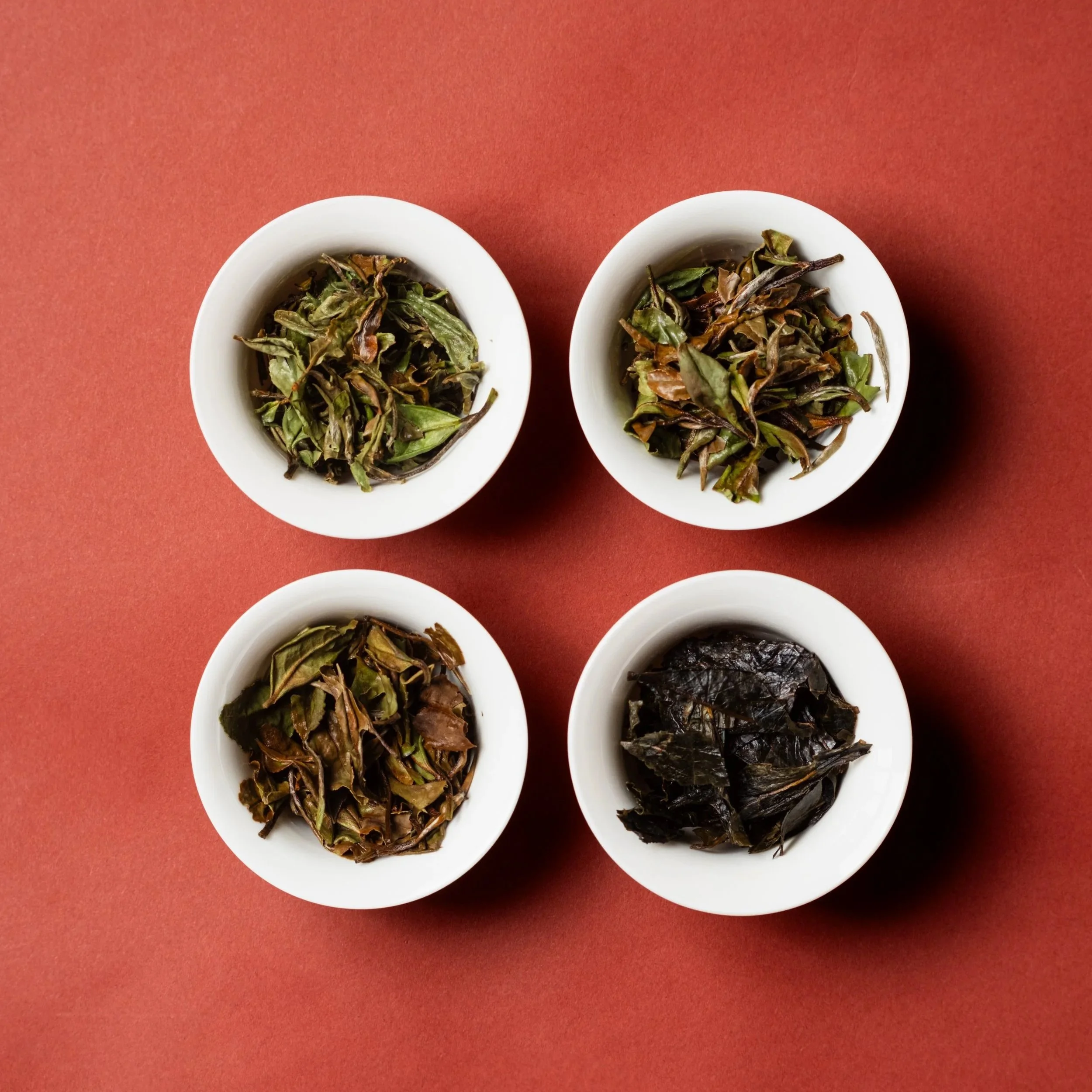 Volition Tea - A Year in White - Four Seasons tea leaves close up