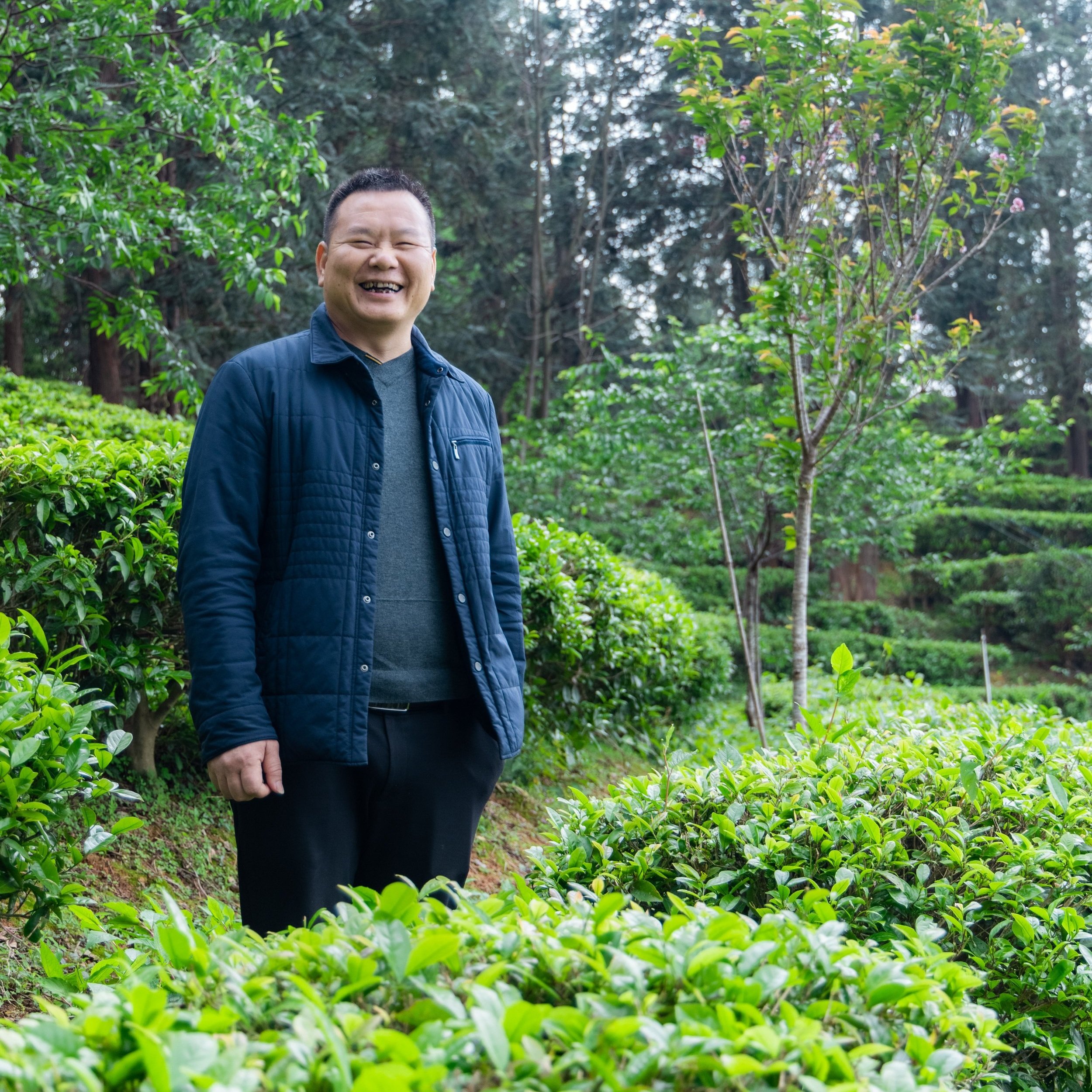 red jade farmer Chen Yong Qiang profile shot