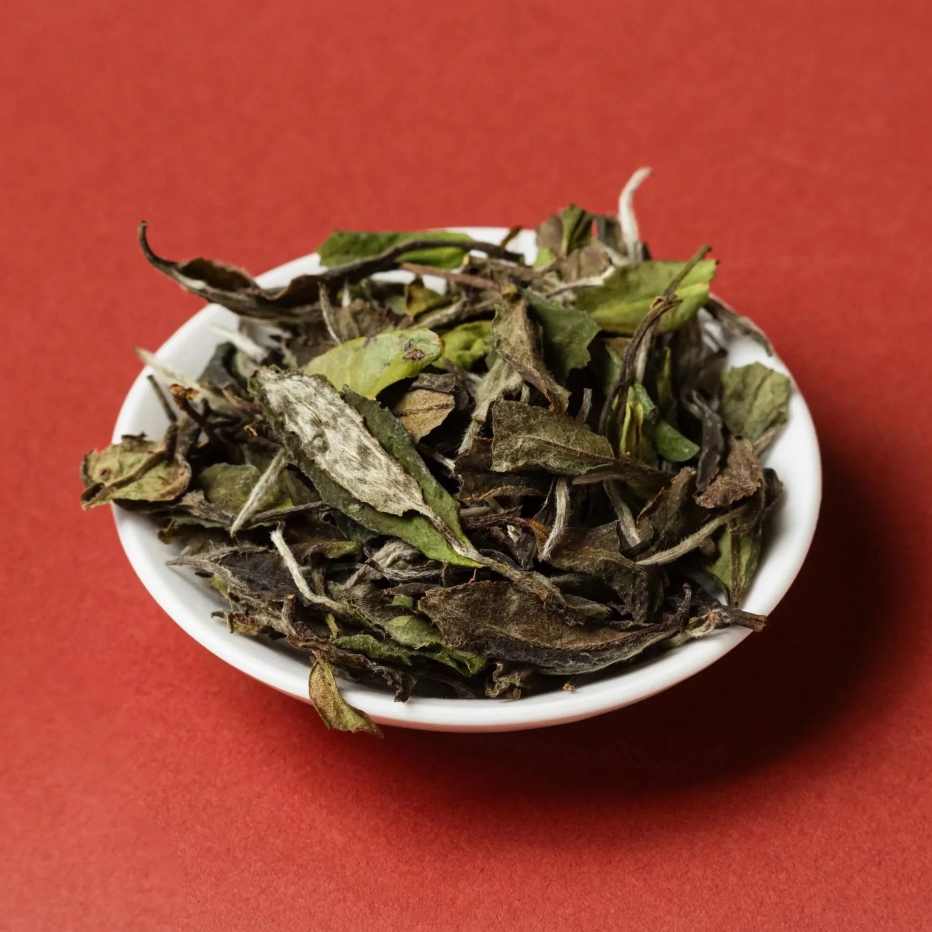 SpringLeaves.jpg