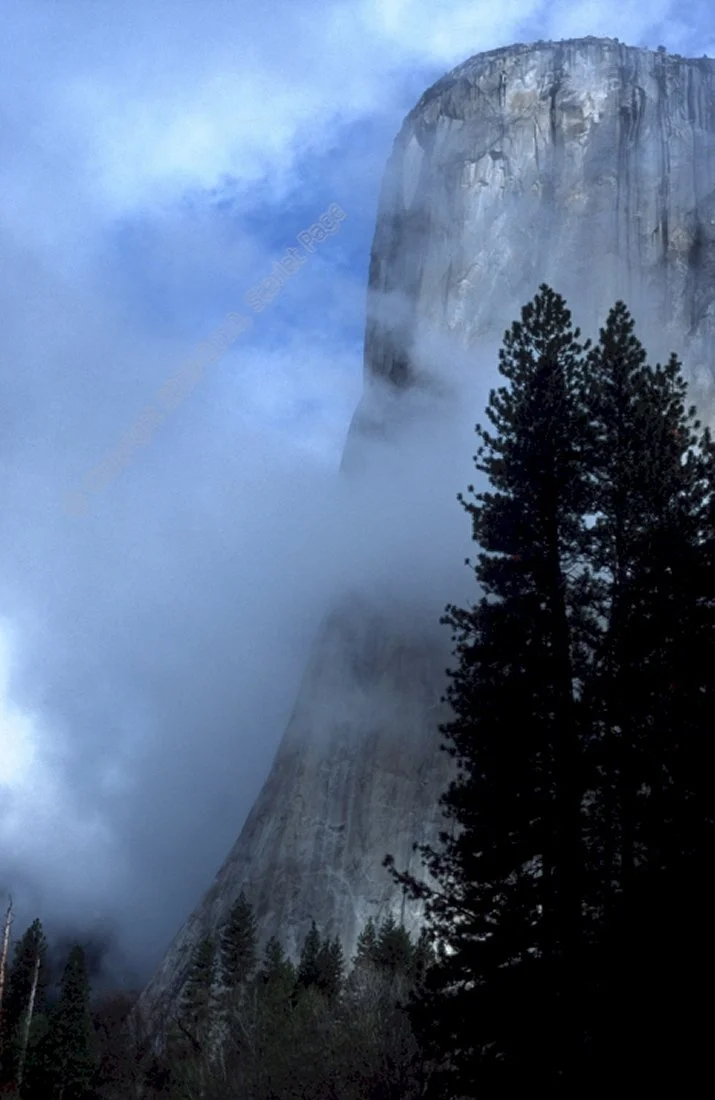 El Capitan. Yosemite