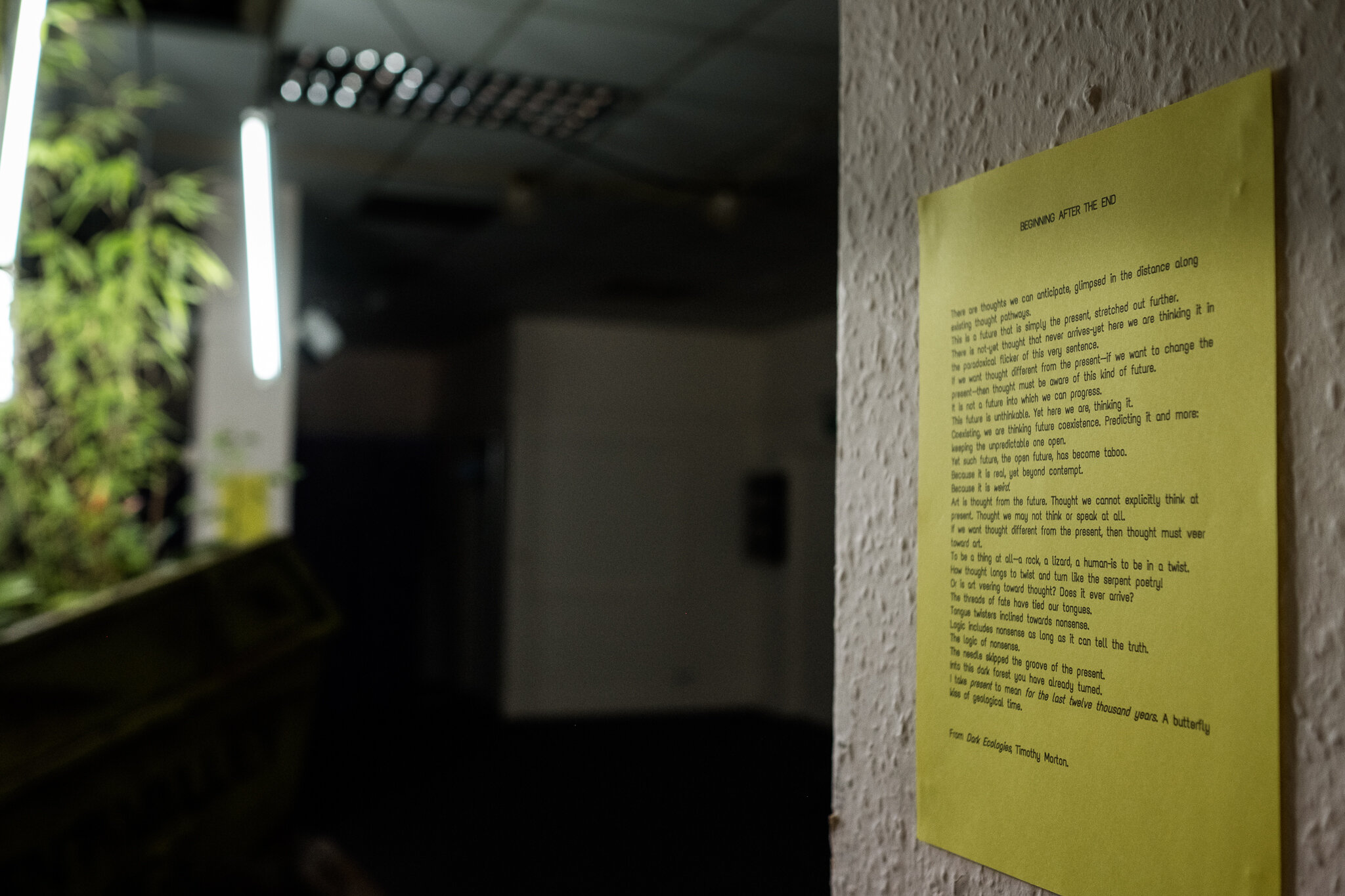 Arkadia Exhibition