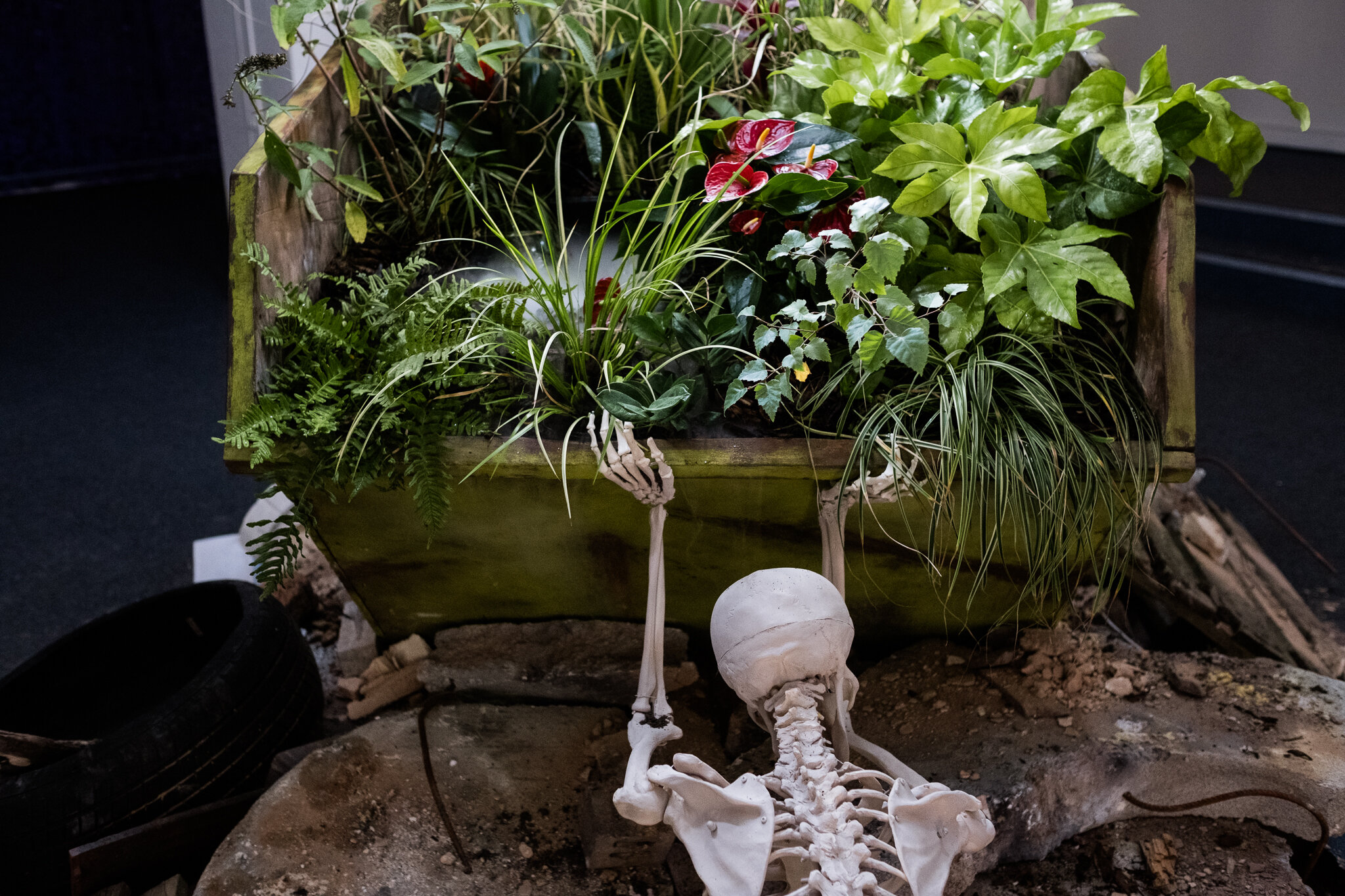 UrbanWilderness,Arkadia,LongtonExchange,Rushton&Mallinson-28.jpg