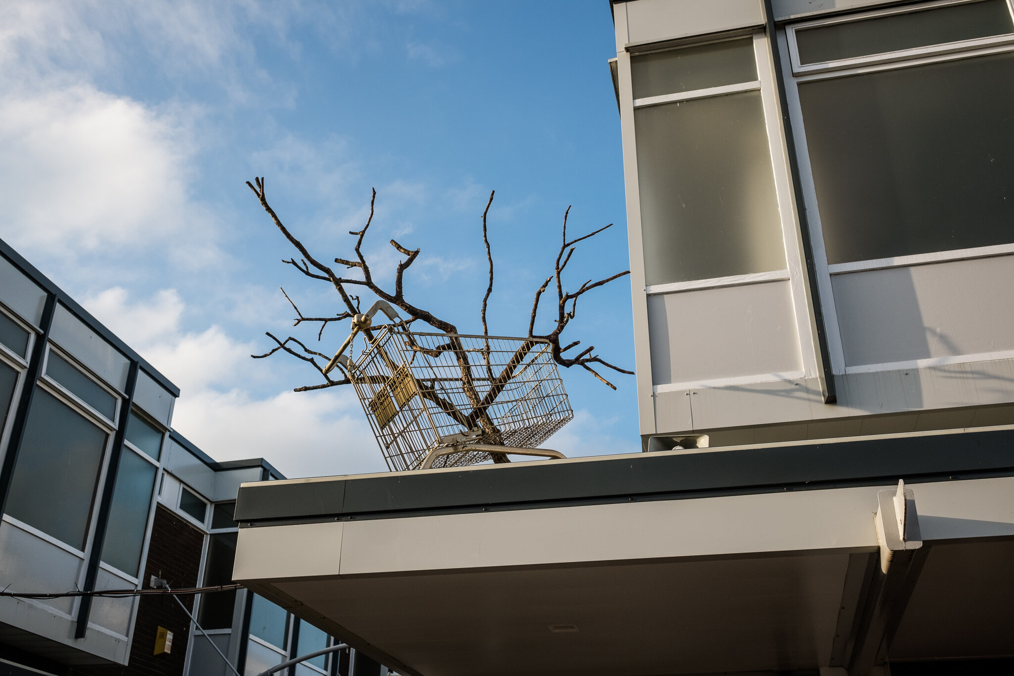 UrbanWilderness,Arkadia,LongtonExchange,Rushton&Mallinson-31.jpg