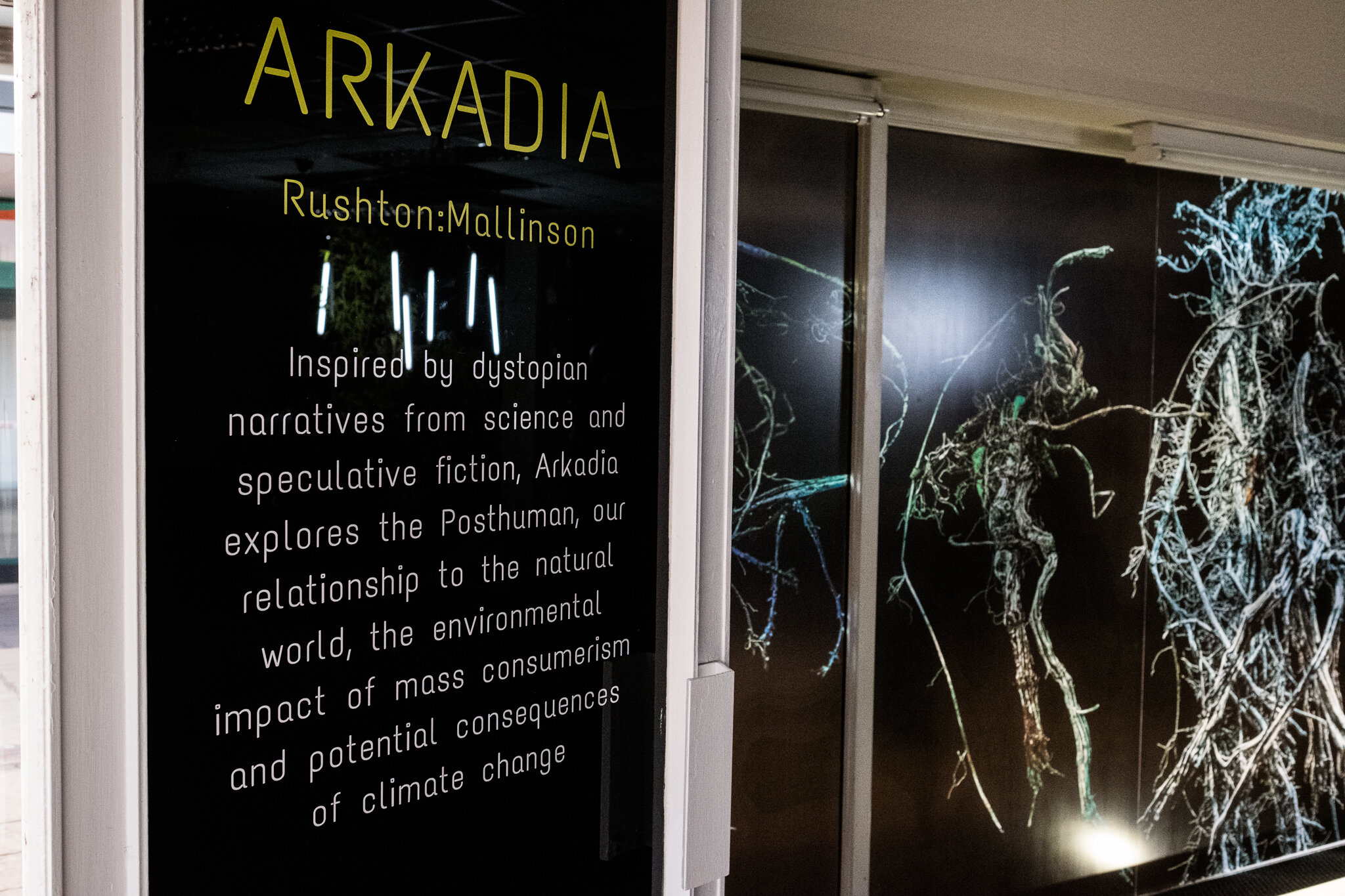 UrbanWilderness,Arkadia,LongtonExchange,Rushton&Mallinson-42.jpg