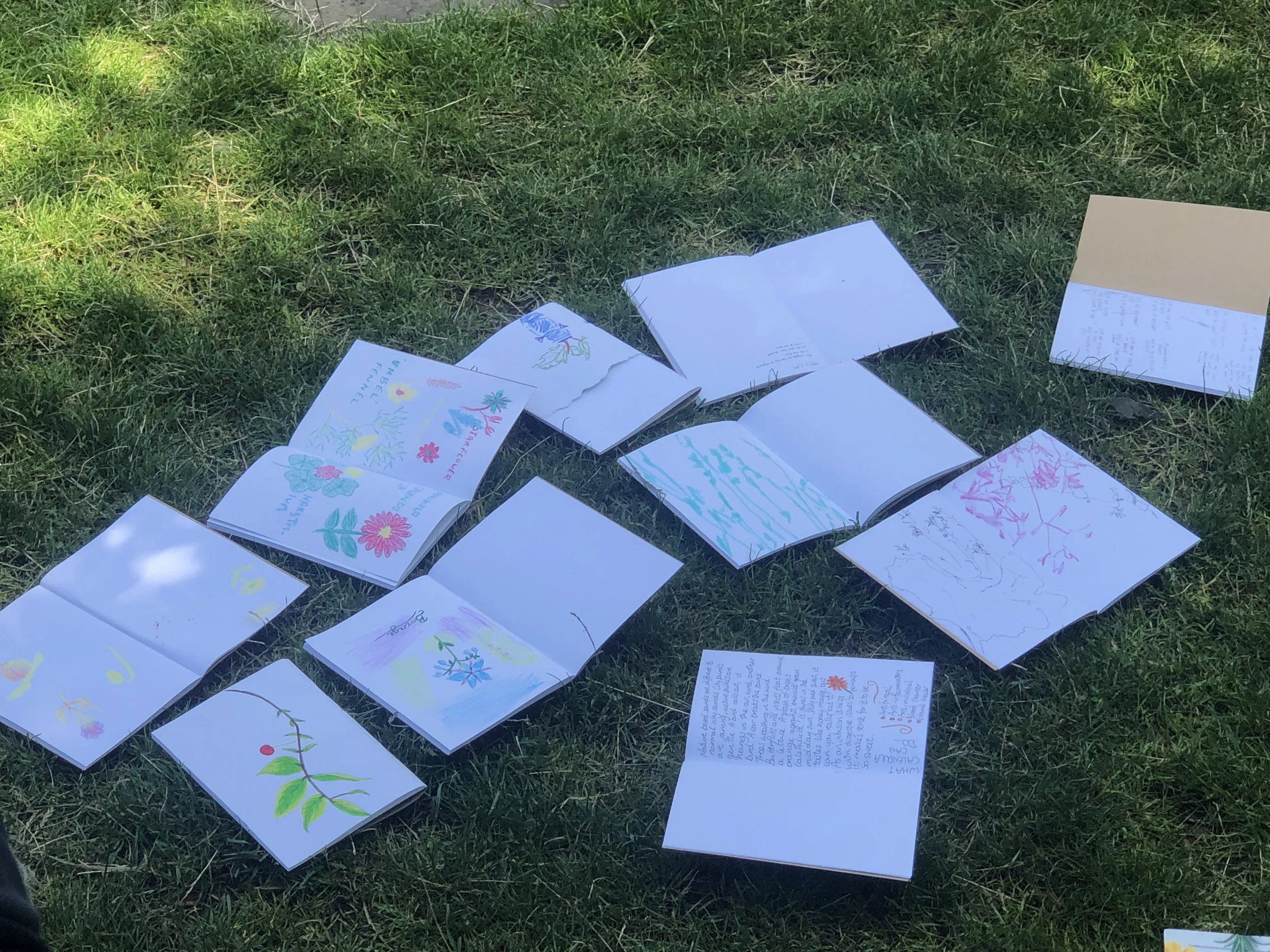 Biome Stories: Close Observation Zines