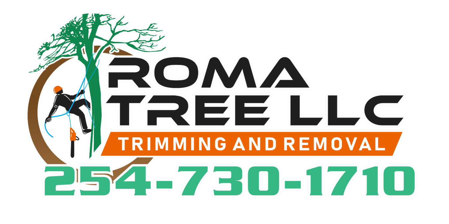 Roma Tree Service 