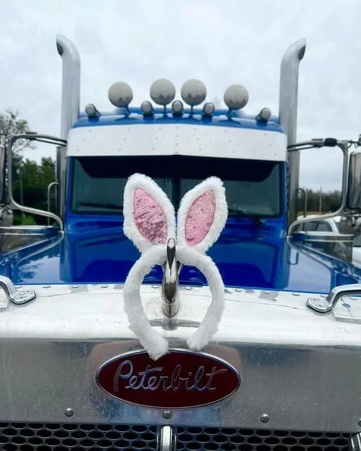 Hoppy Easter from 006 and all of us at Oakland Farms! 🐰🐰🐰