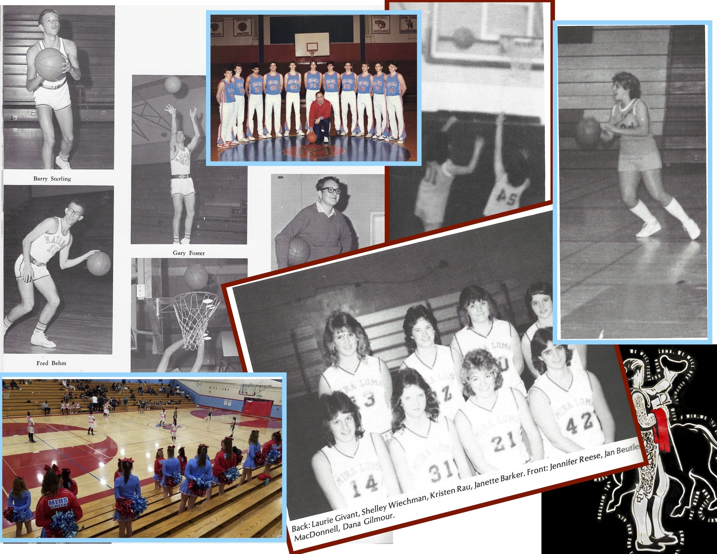 Matador Basketball.jpg