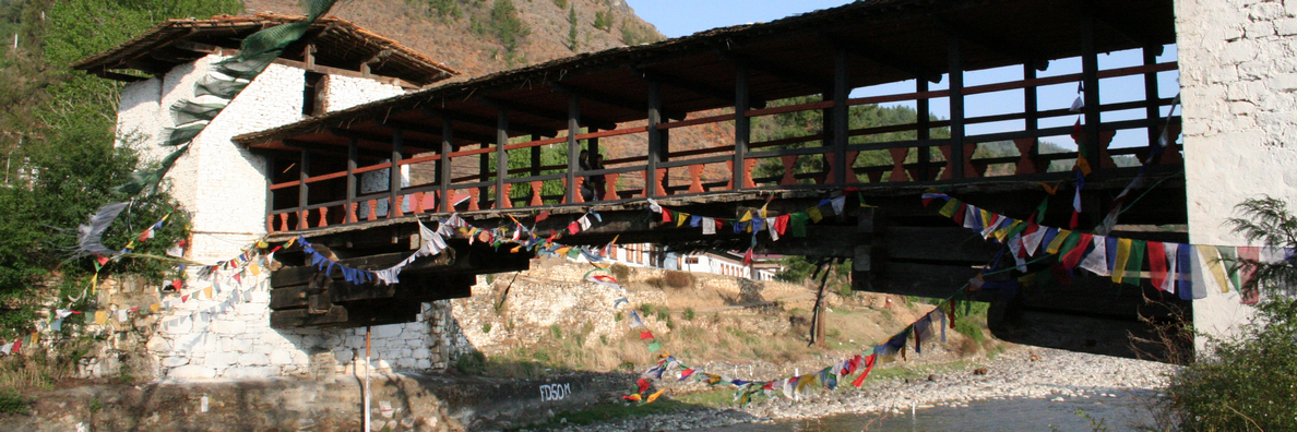 paro-bridge-banner (scott steedman).png