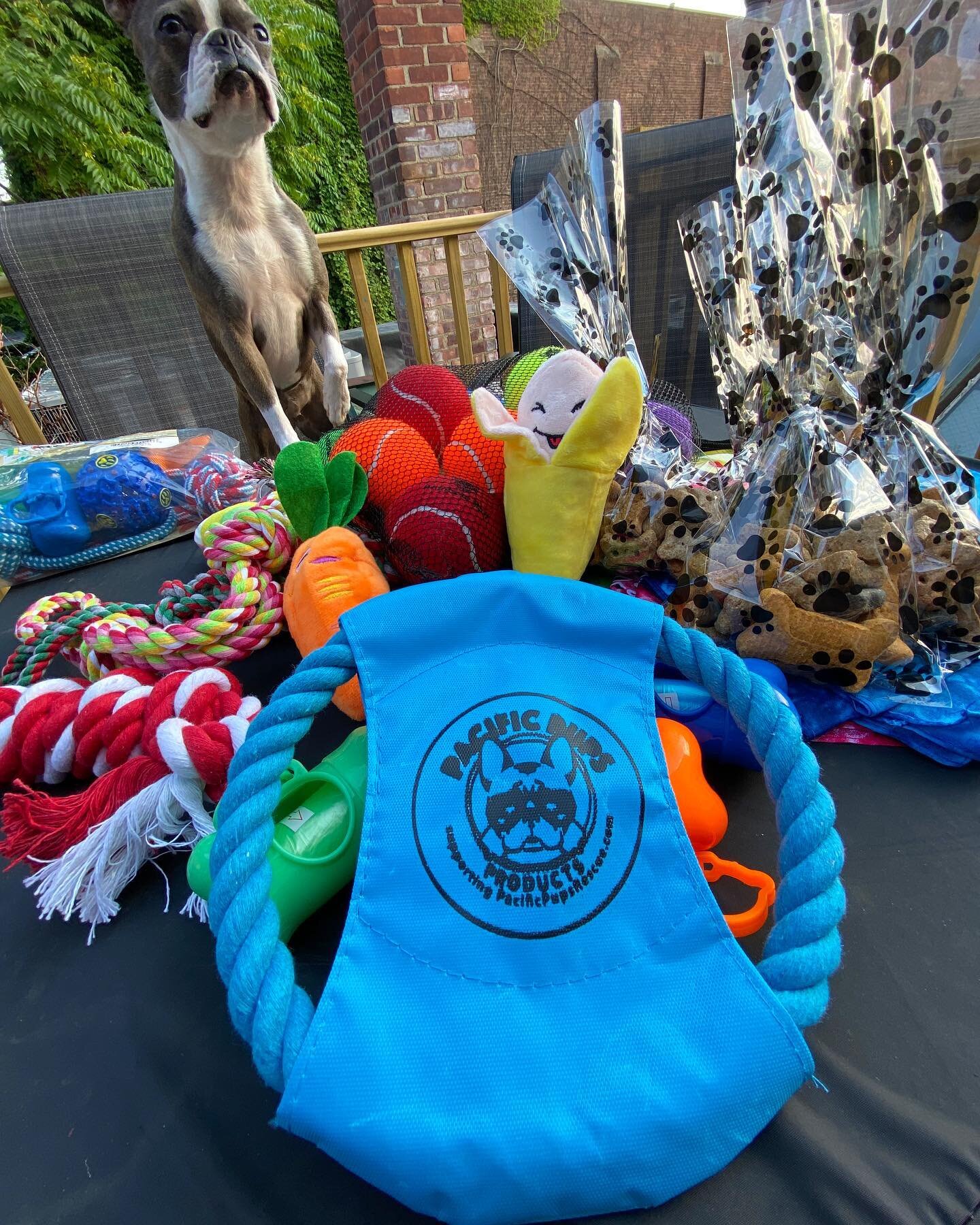 Setting up all the giveaway goodies for Saturday&rsquo;s free Paws in the Park at Lakeshore Villas! 🐾
From 10am-1pm we&rsquo;ll be giving away treats, bathroom bags, bandannas, tennis balls &amp; some toys from @pacificpupsrescue !

All are welcome,